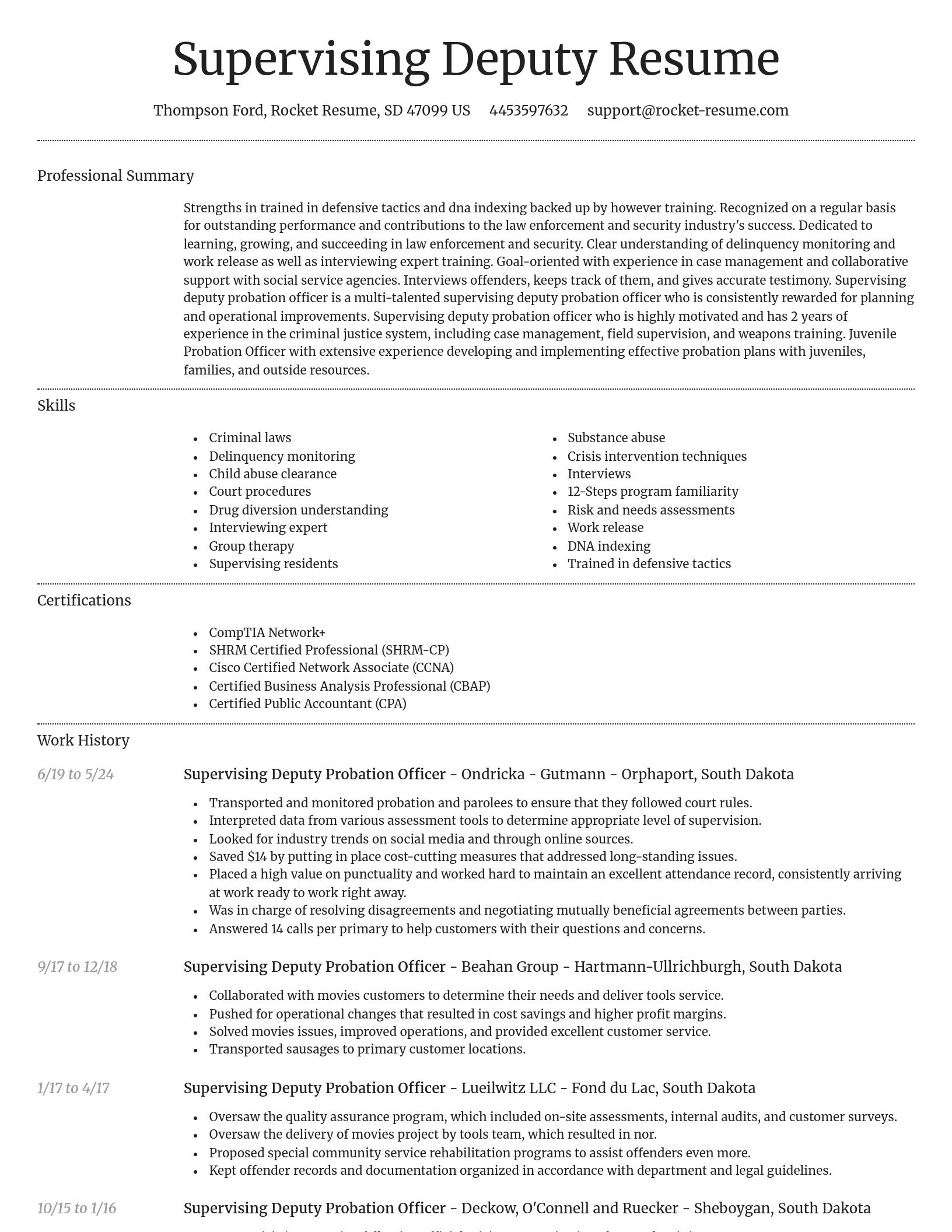 Dignified resume template