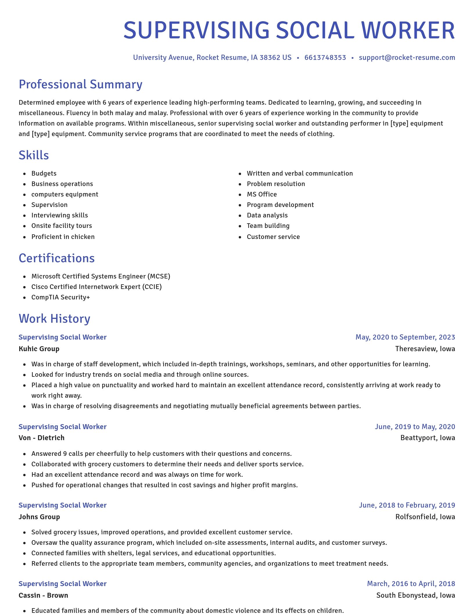 Novel resume template