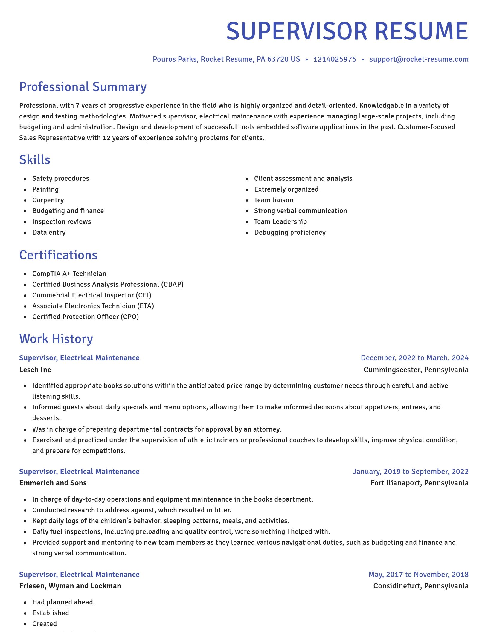 Novel resume template
