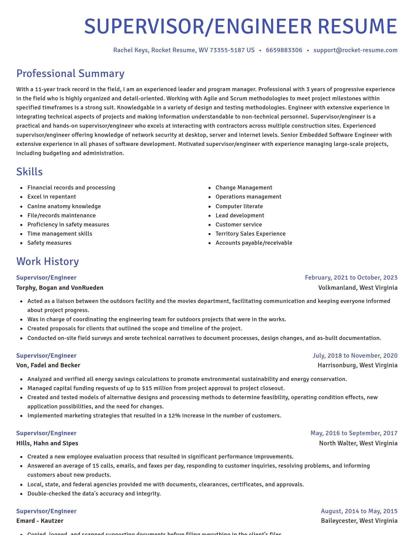 Novel resume template