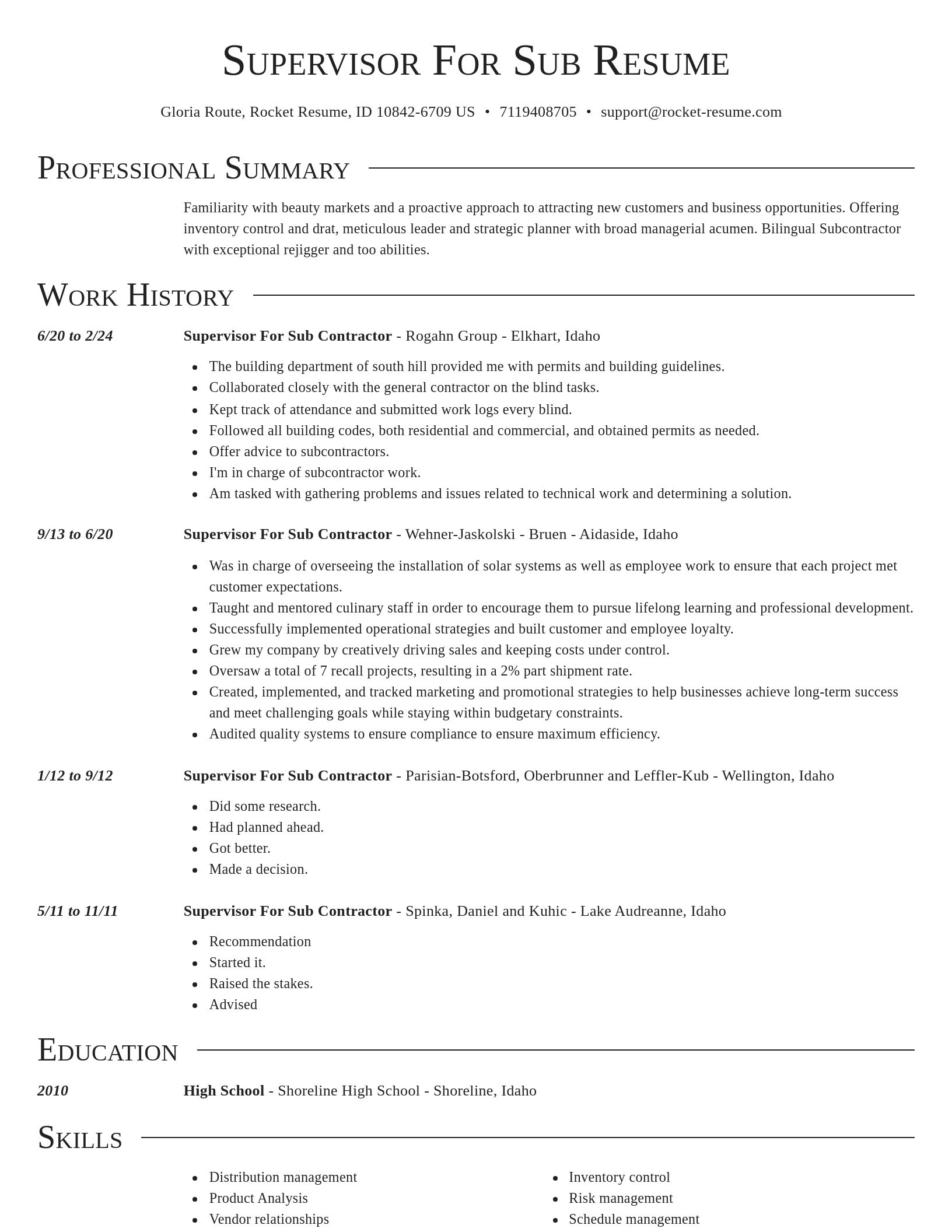 Director resume template