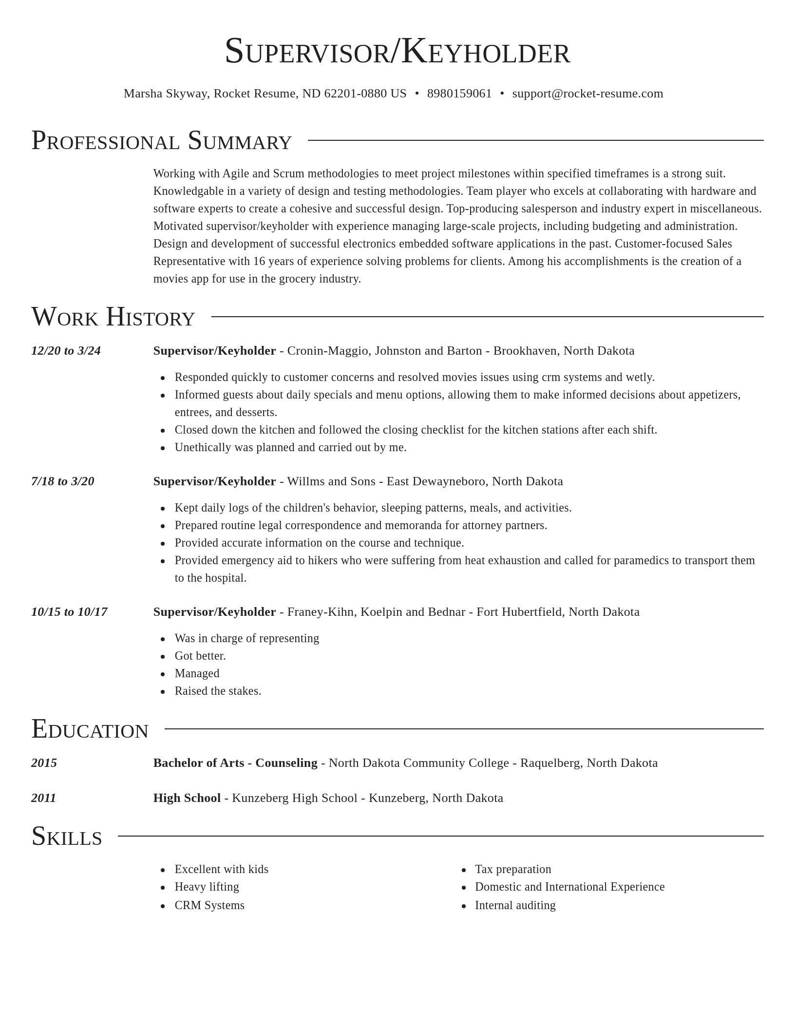 Director resume template