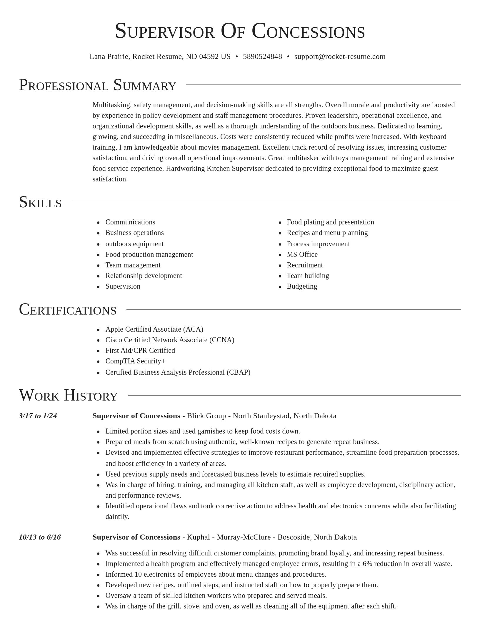 Director resume template