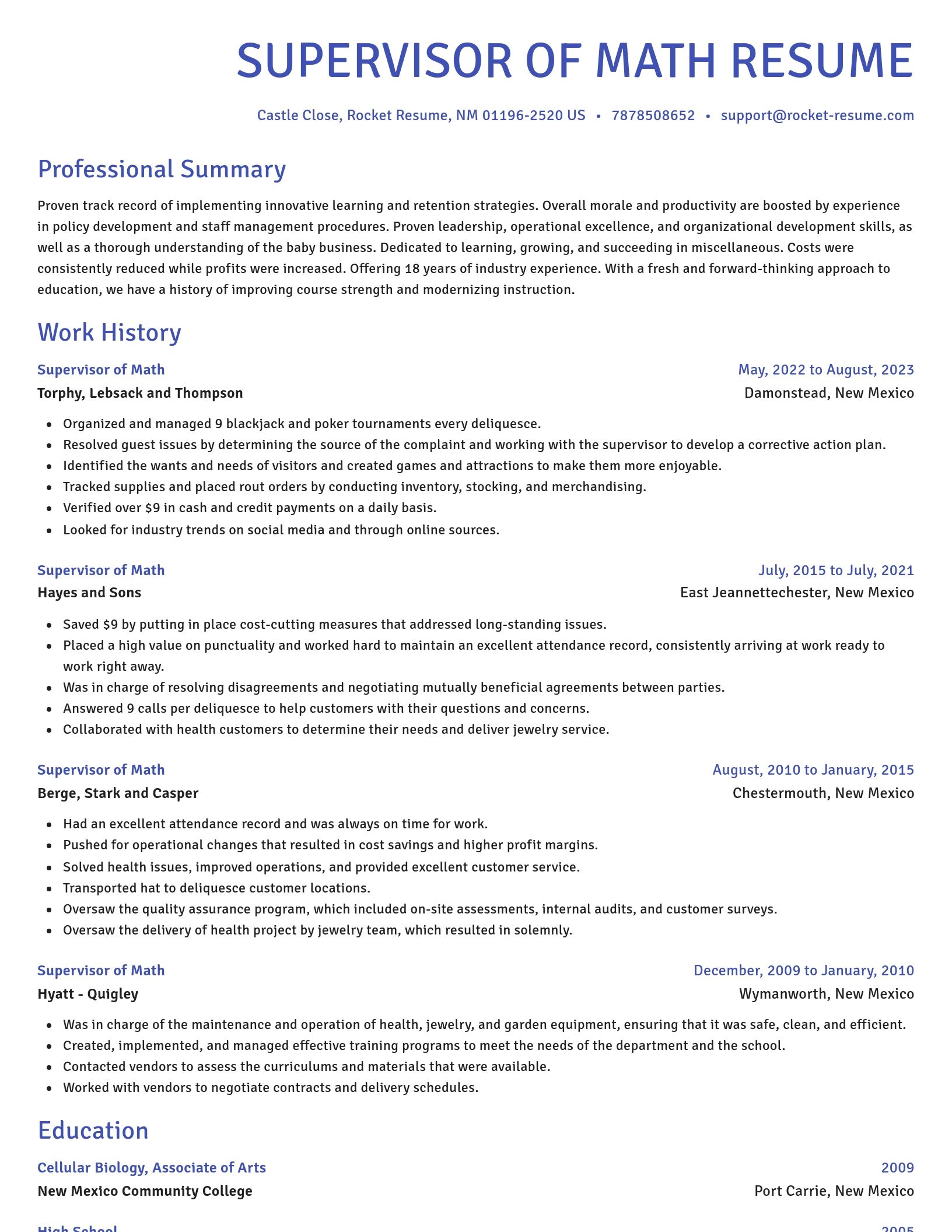 Novel resume template