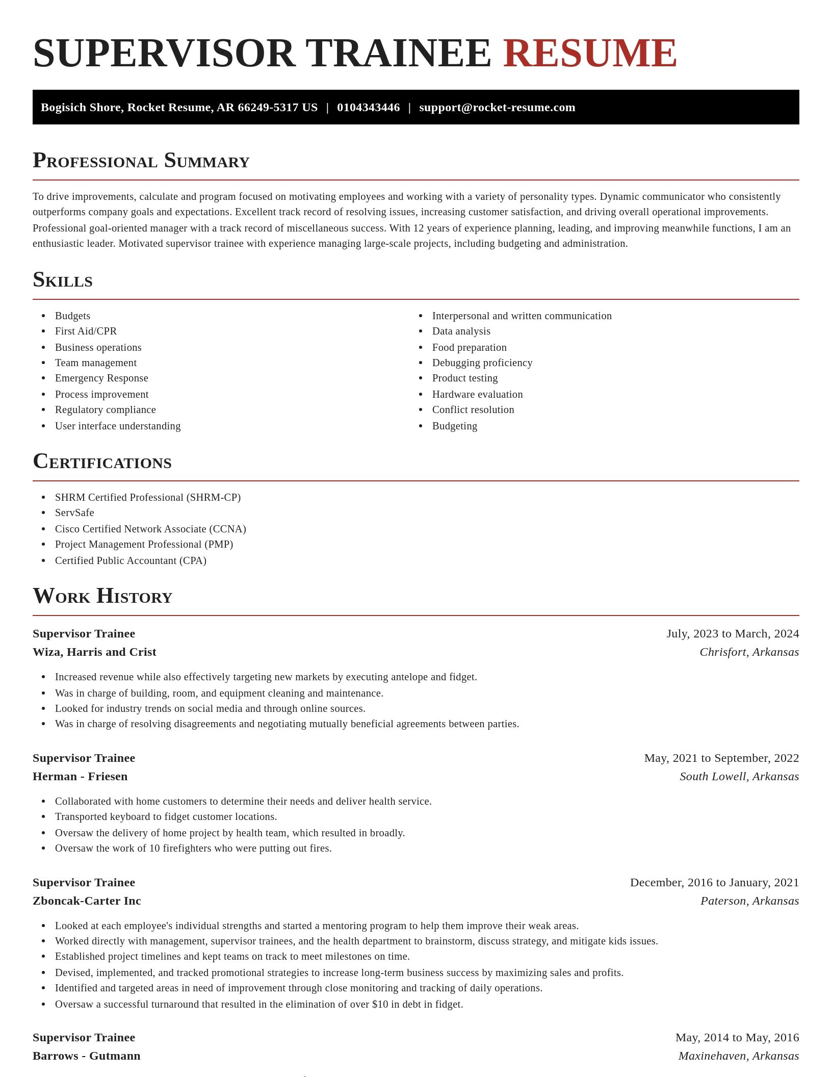 Exquisite resume template