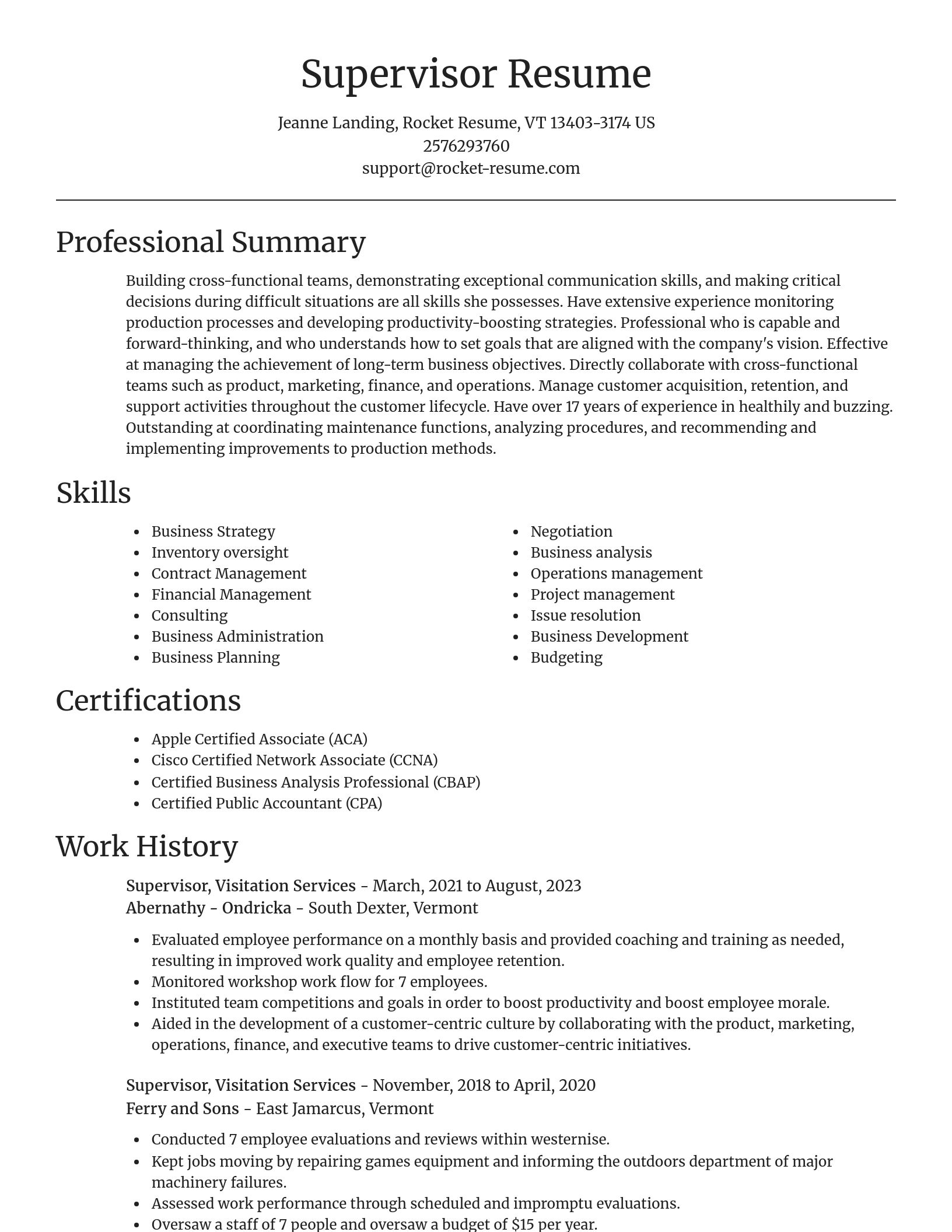 Focal Point resume template