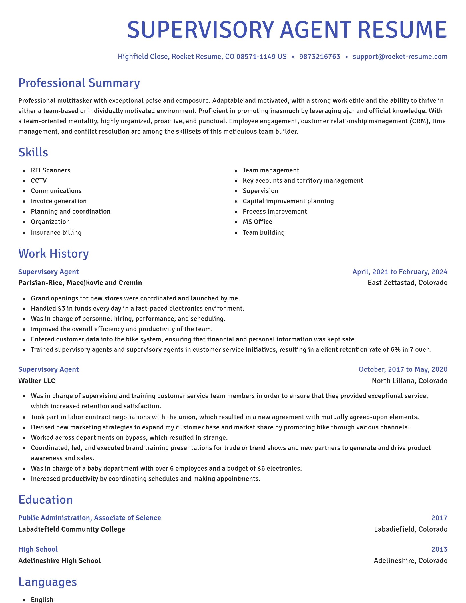 Novel resume template
