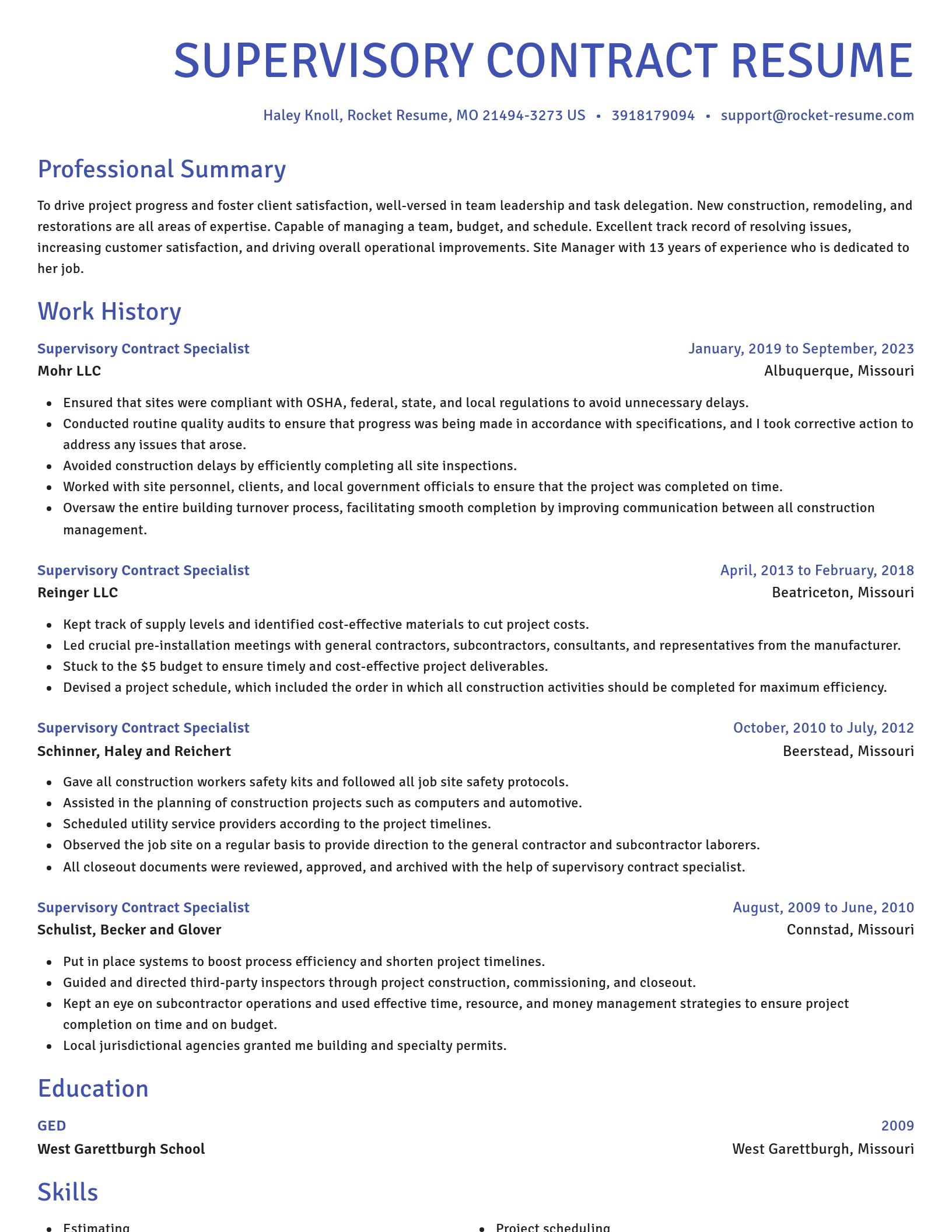 Novel resume template