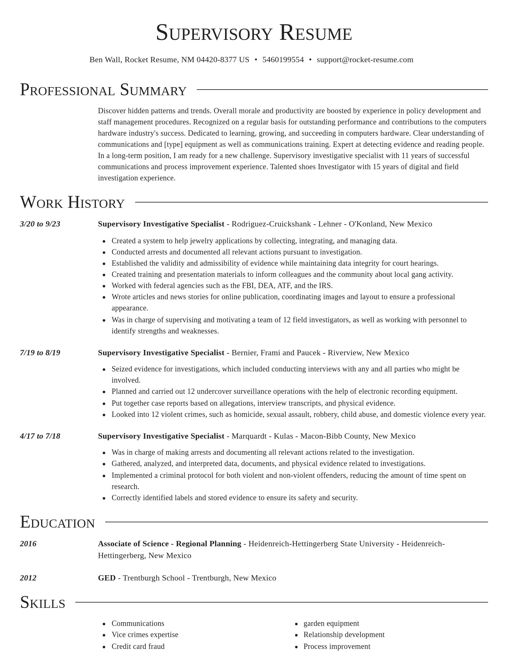 Director resume template