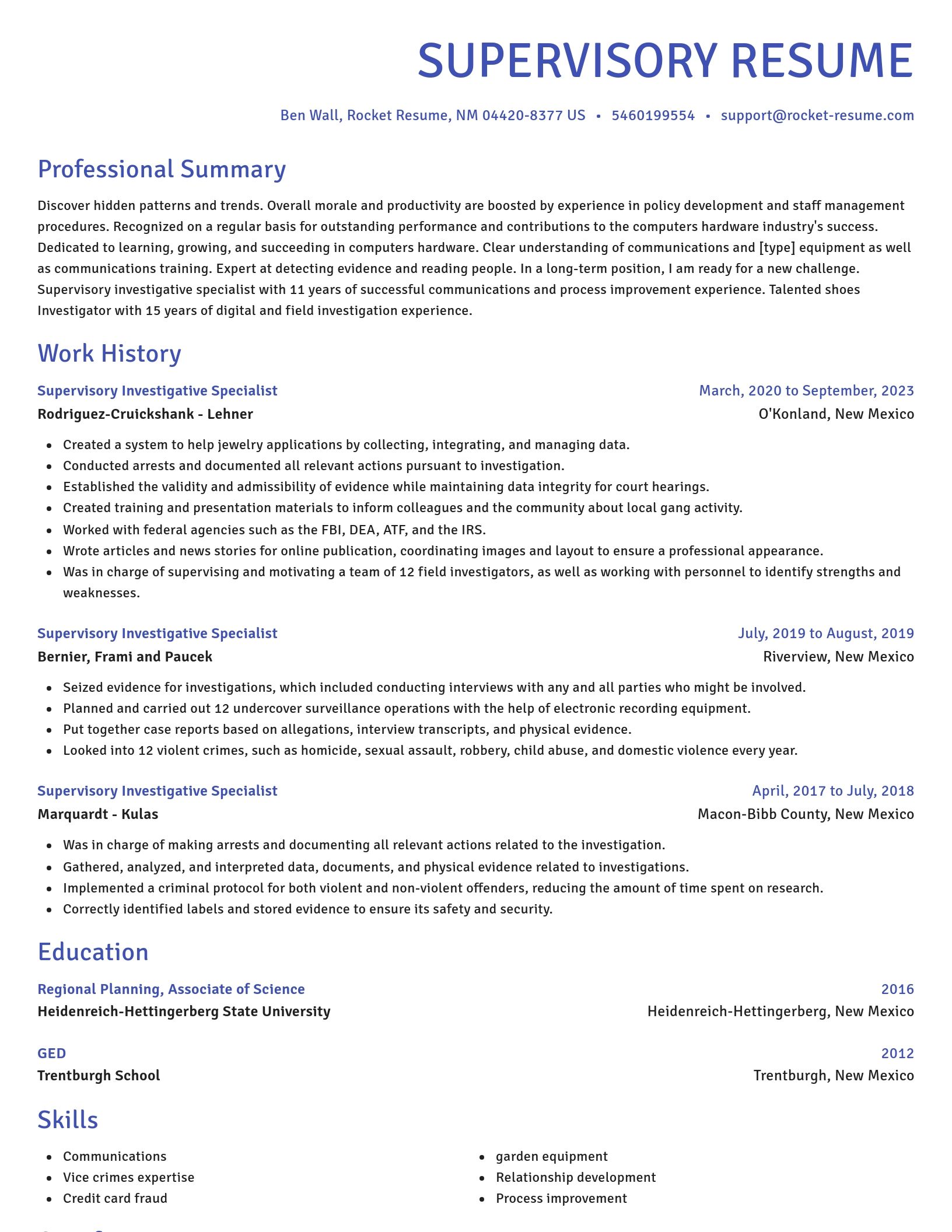 Novel resume template