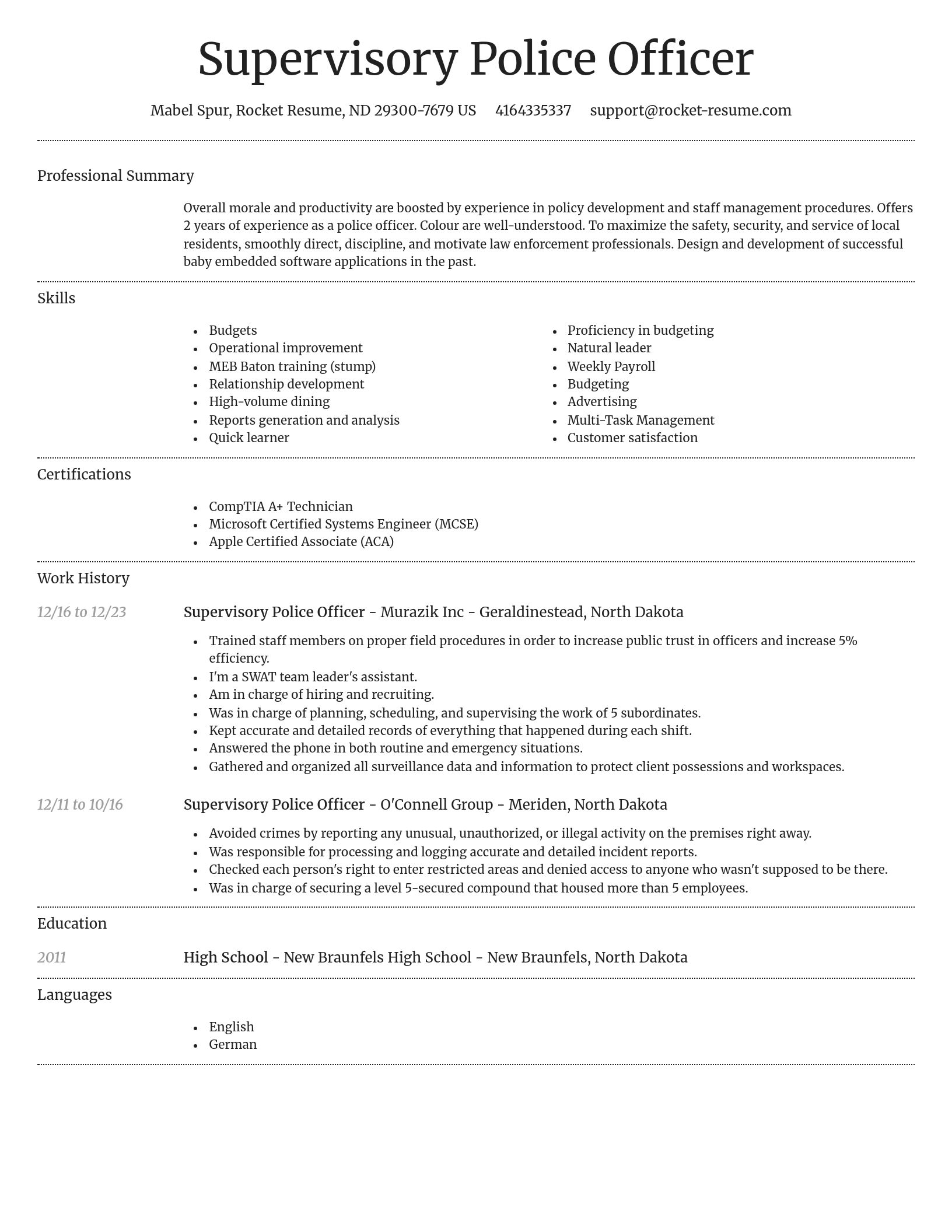 Dignified resume template