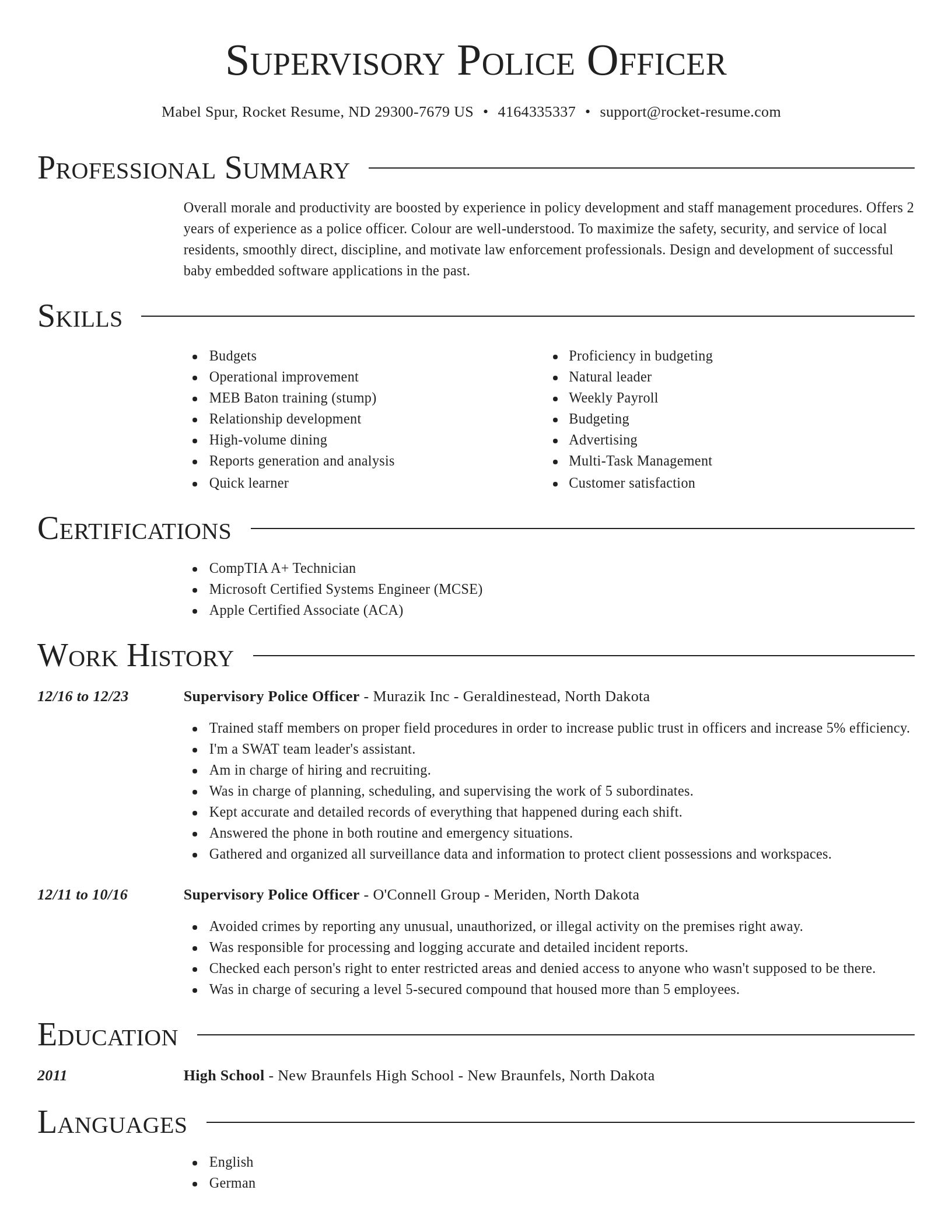 Director resume template