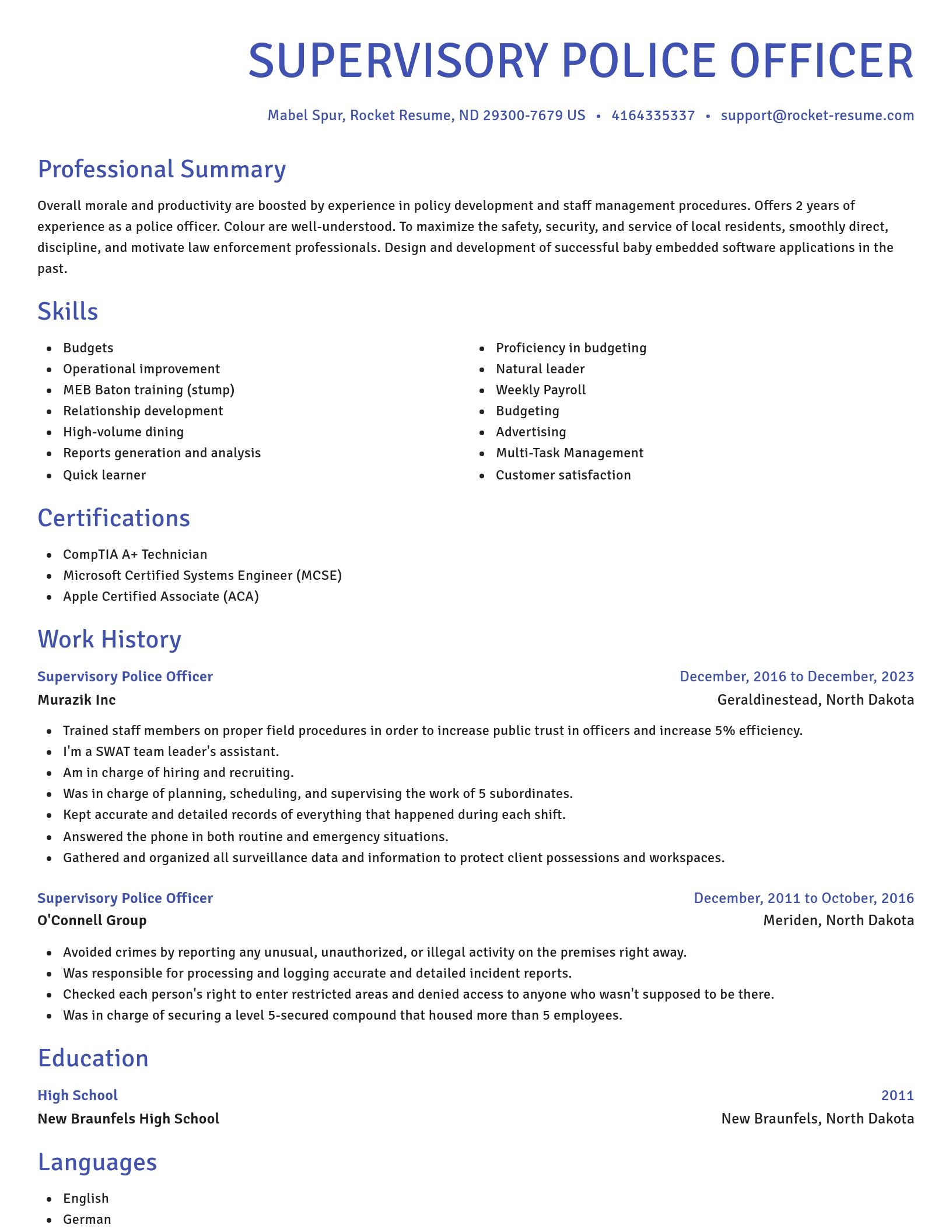 Novel resume template