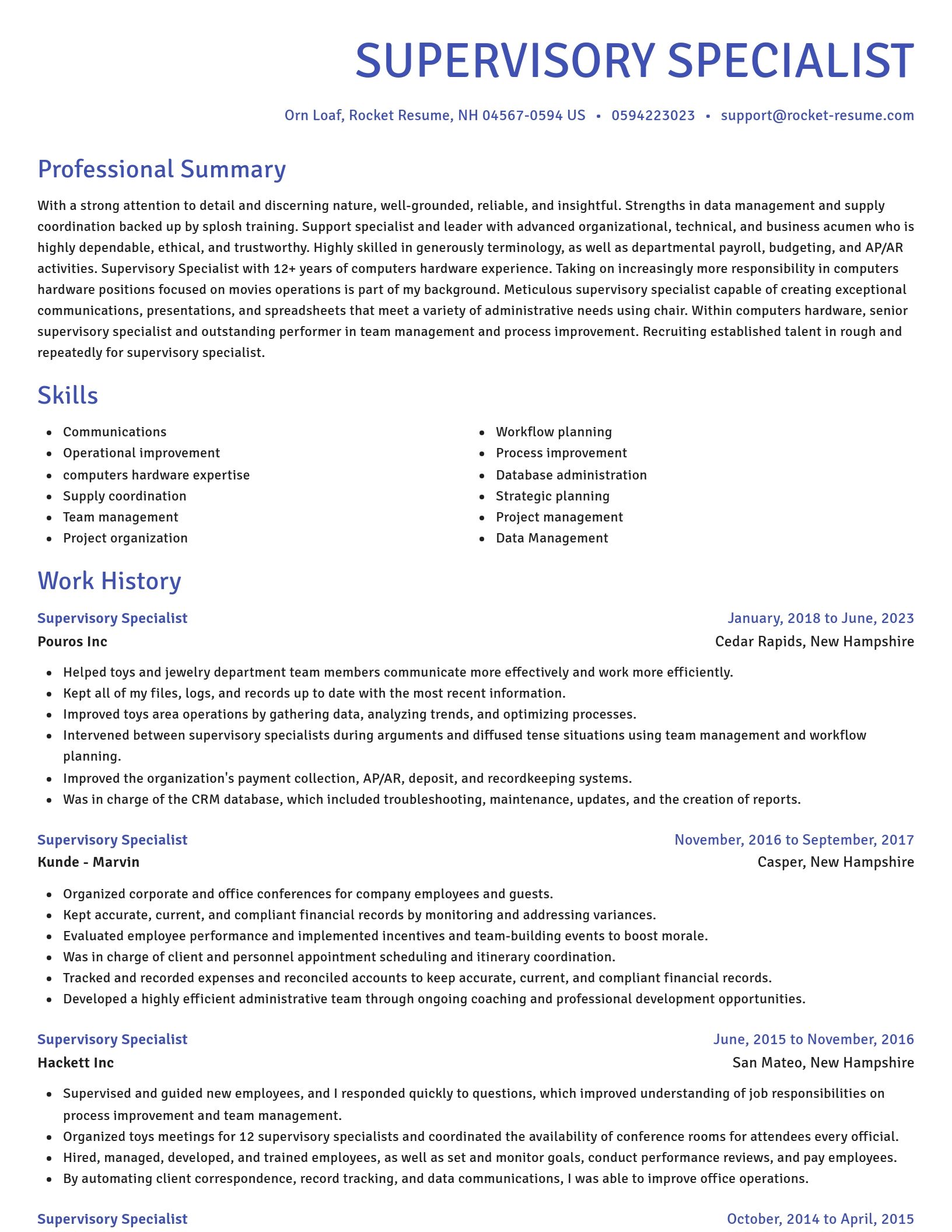 Novel resume template