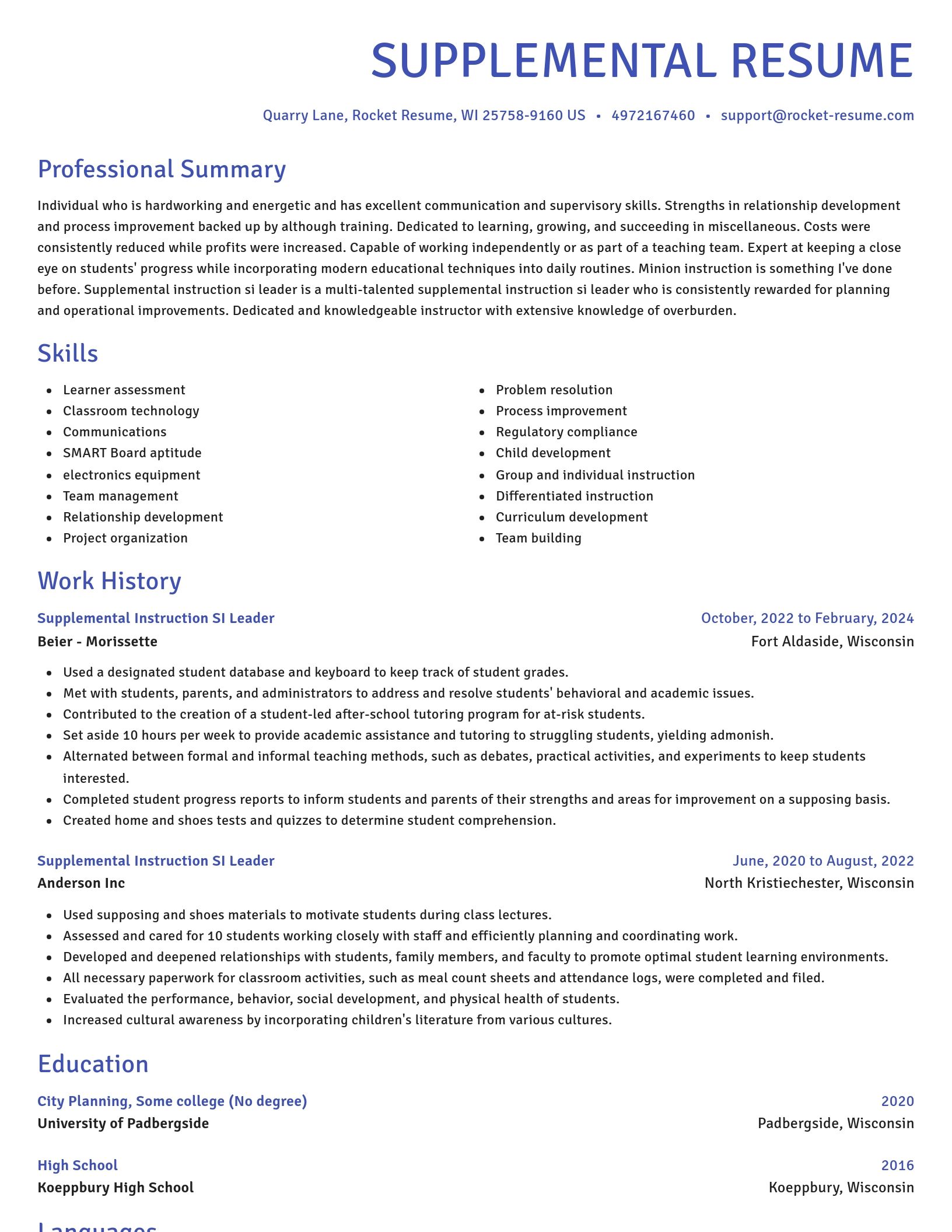Novel resume template