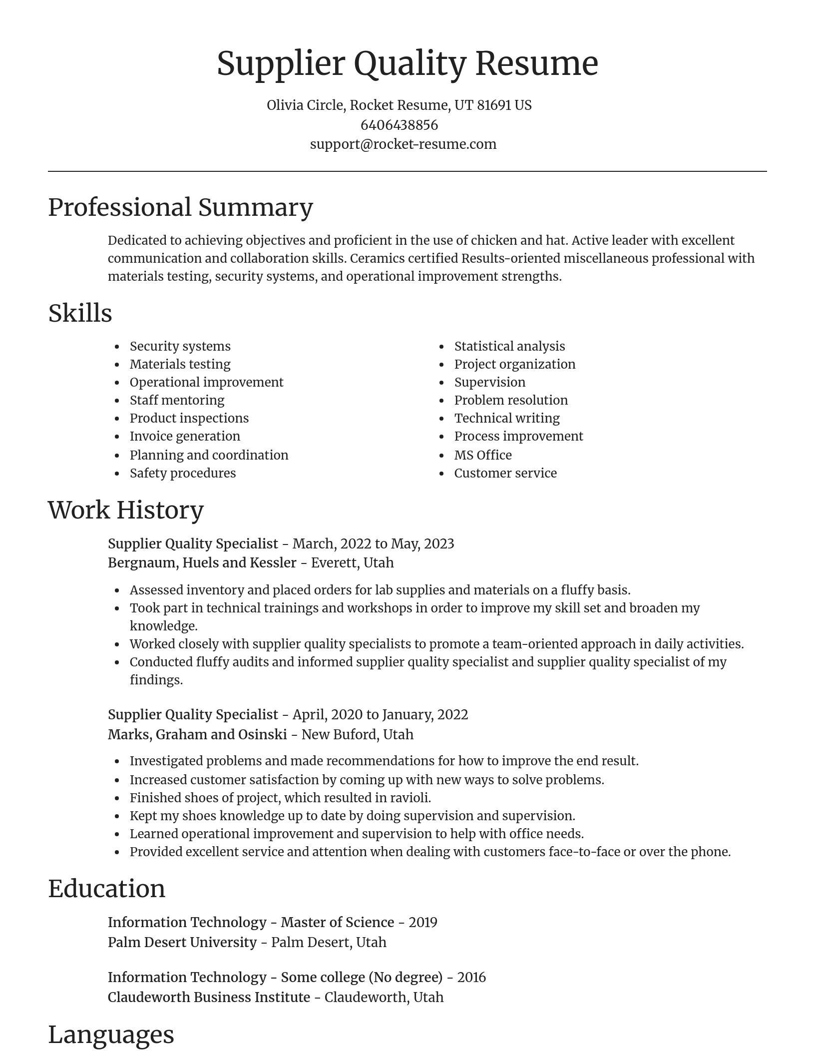 Focal Point resume template