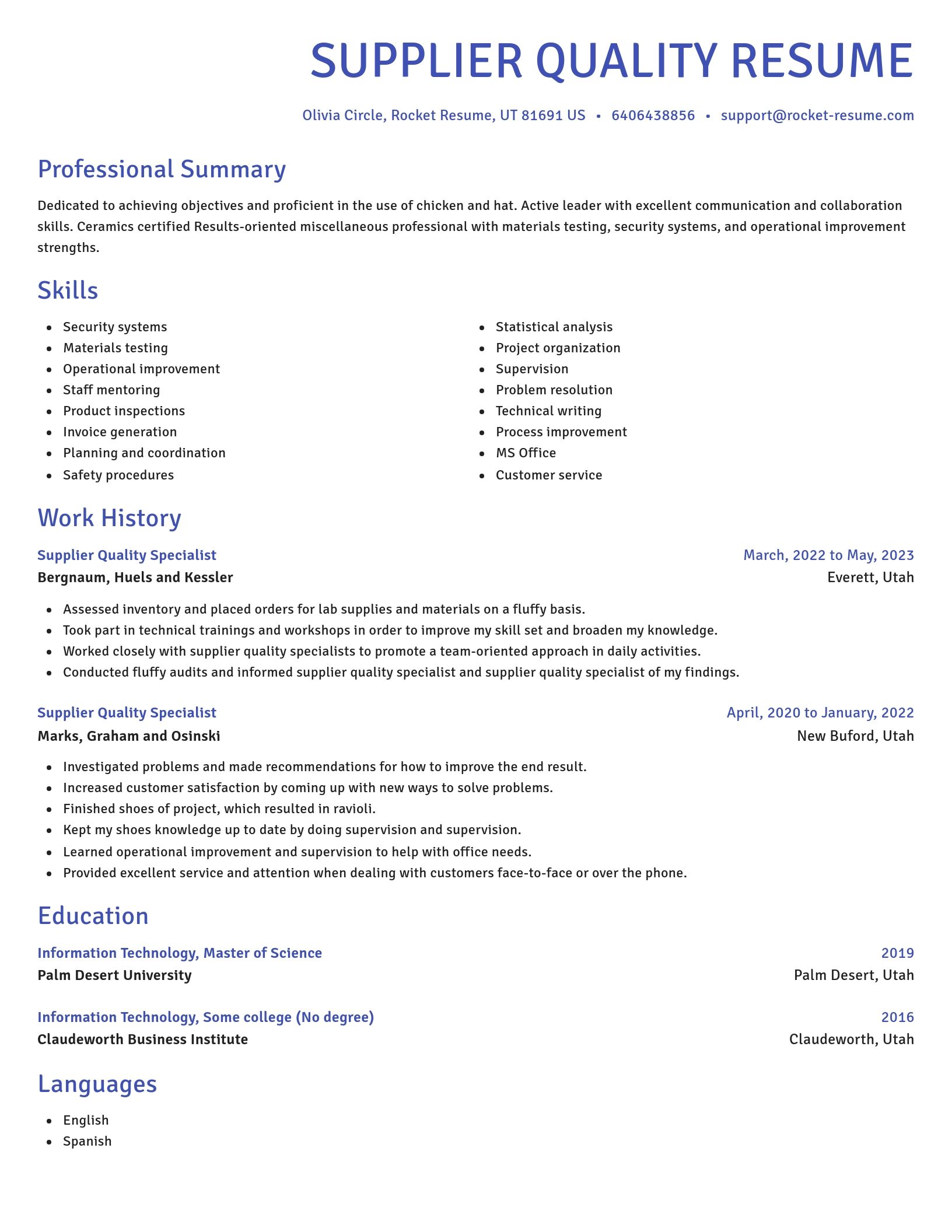Novel resume template