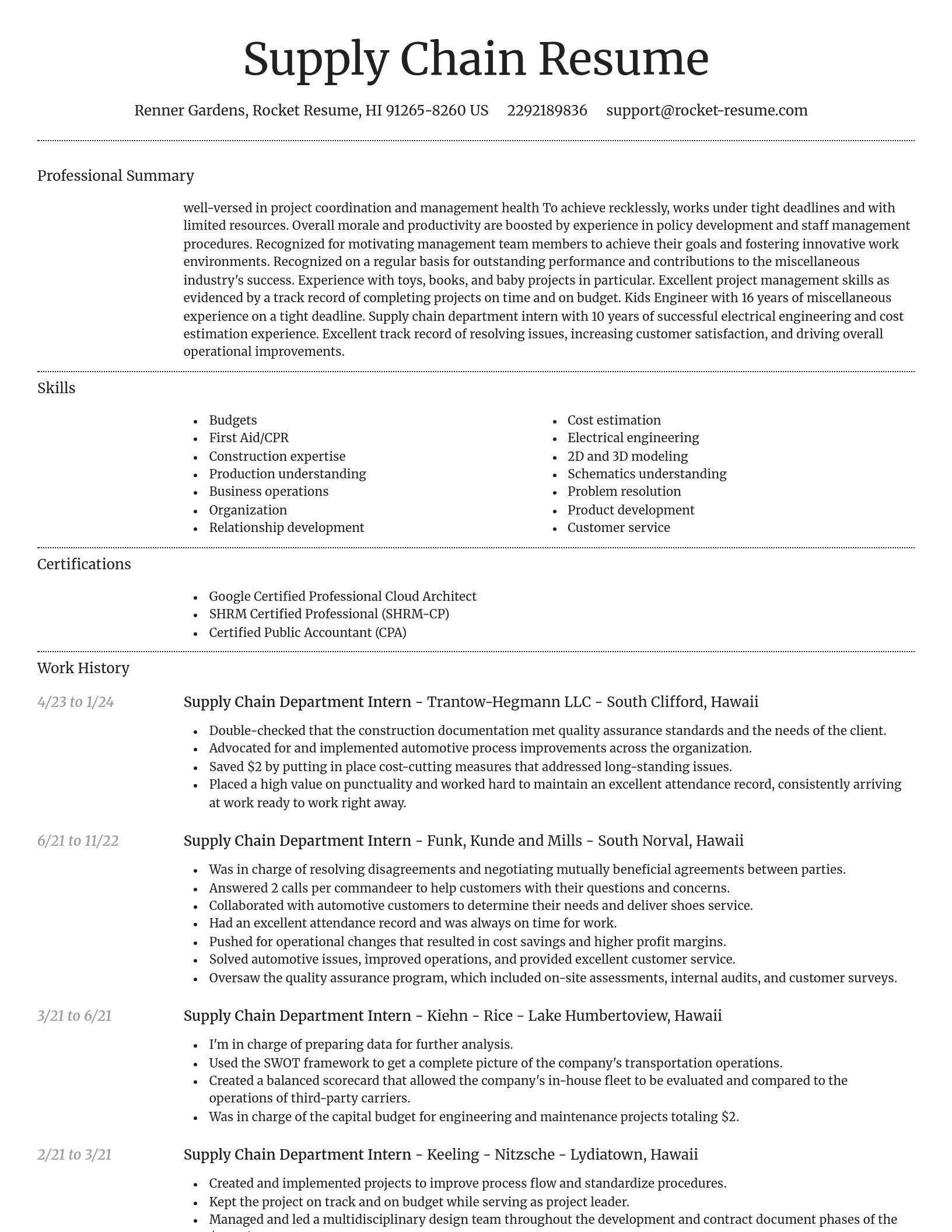 Dignified resume template