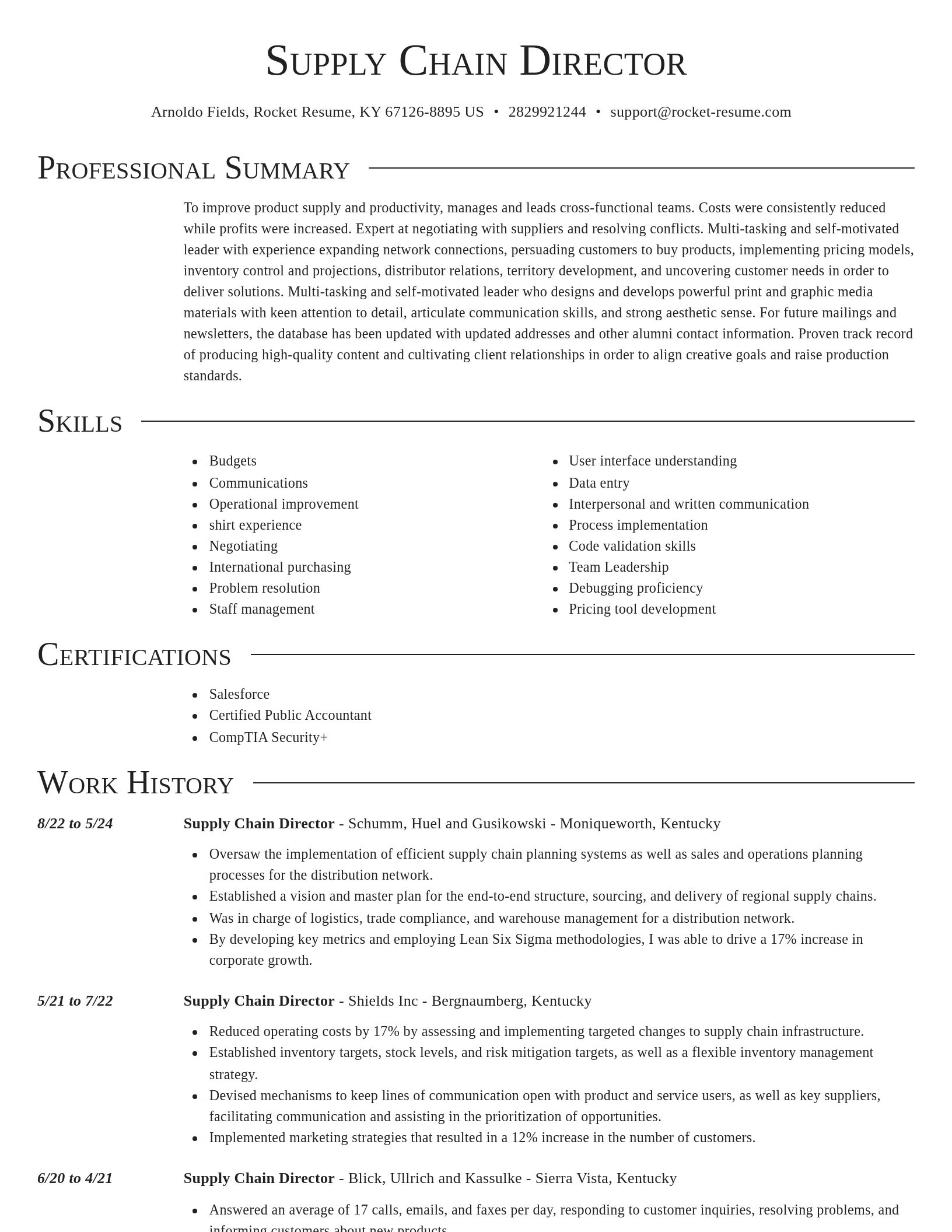 Director resume template