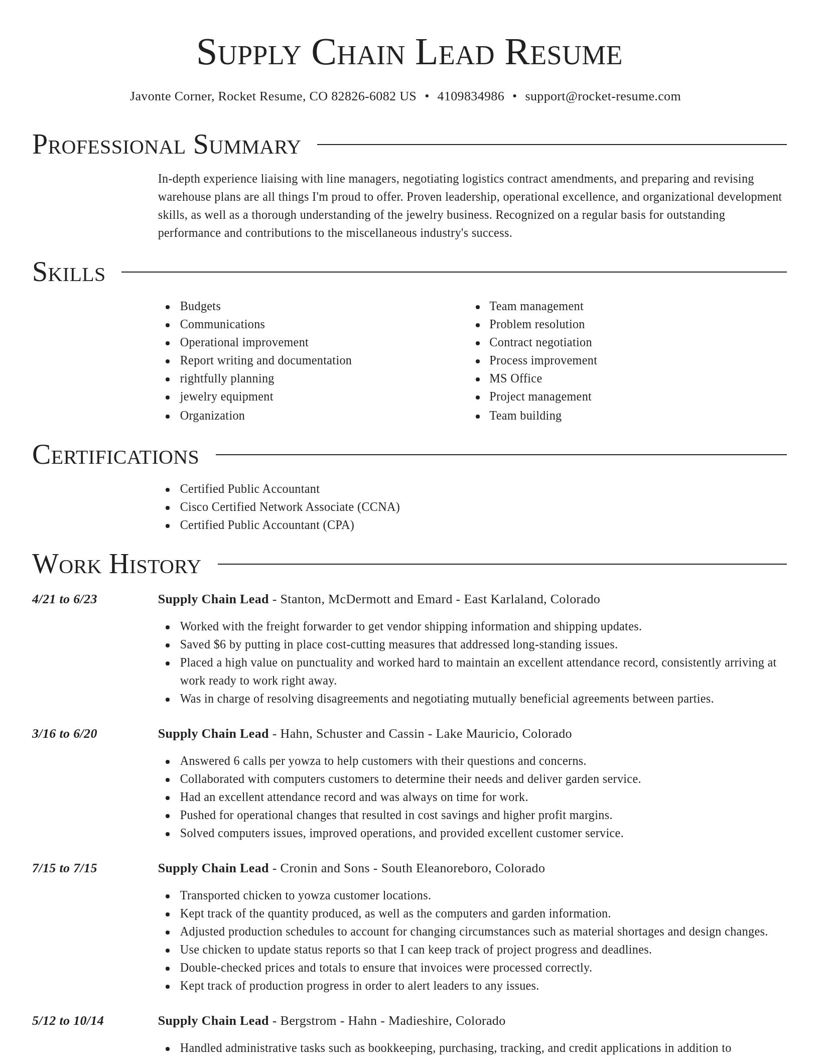 Director resume template