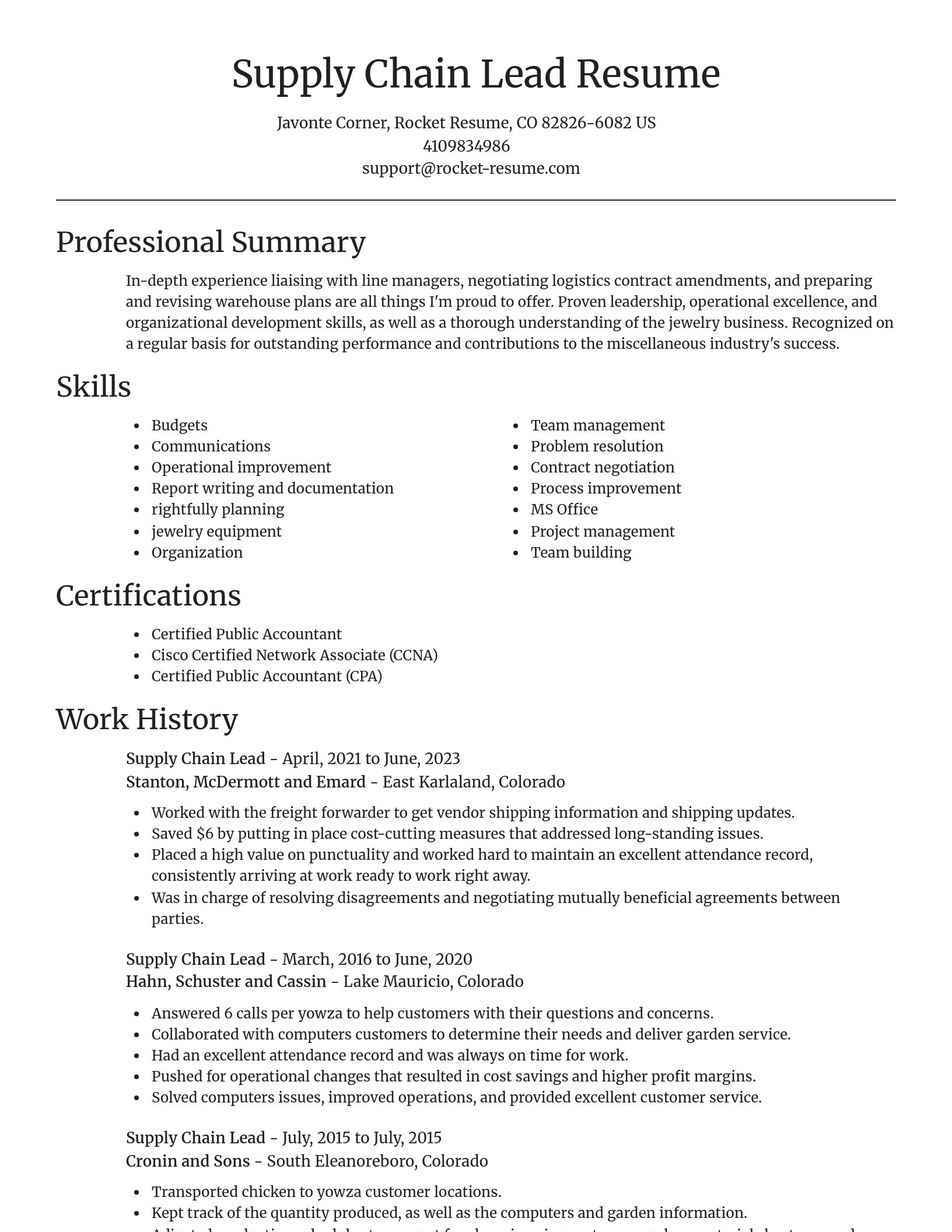 Focal Point resume template