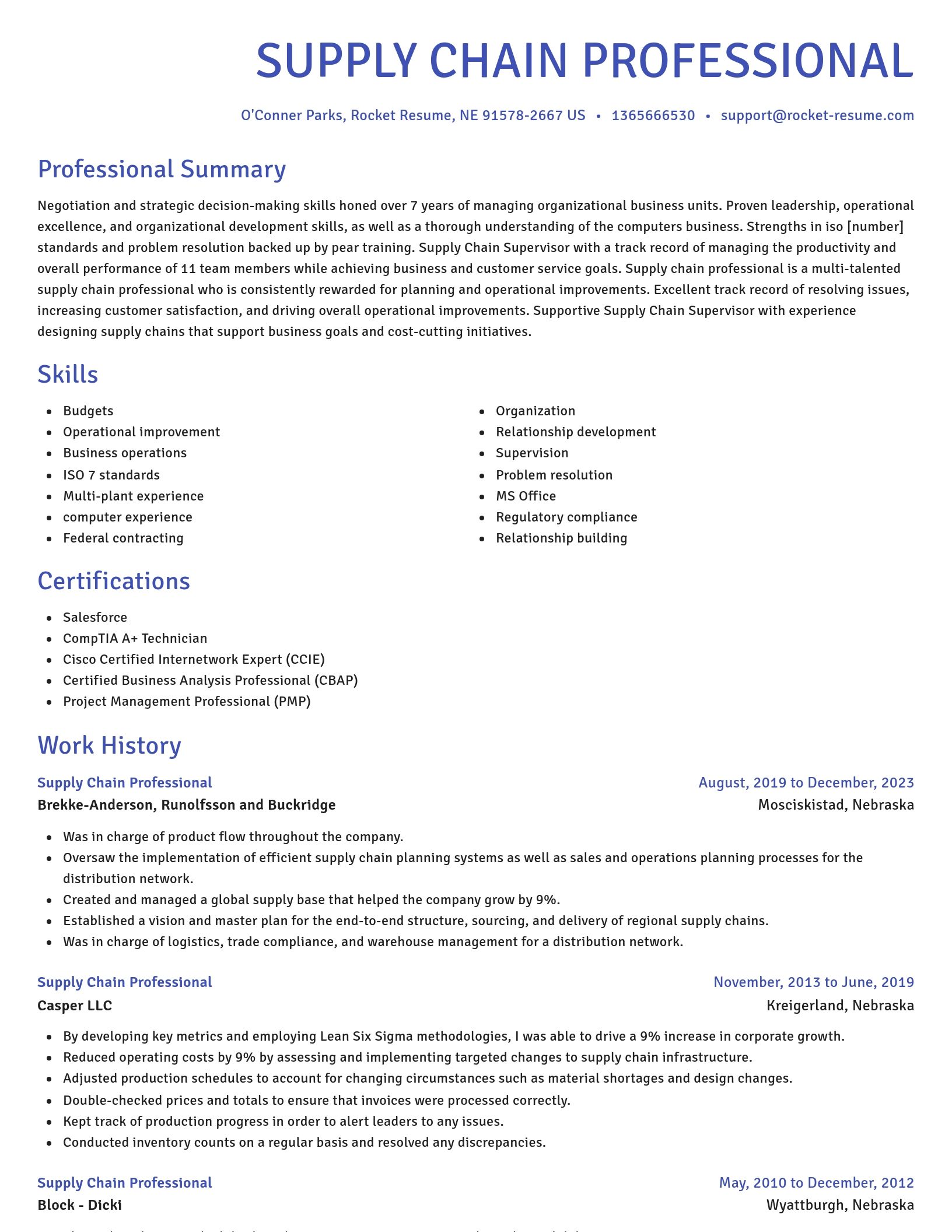 Novel resume template