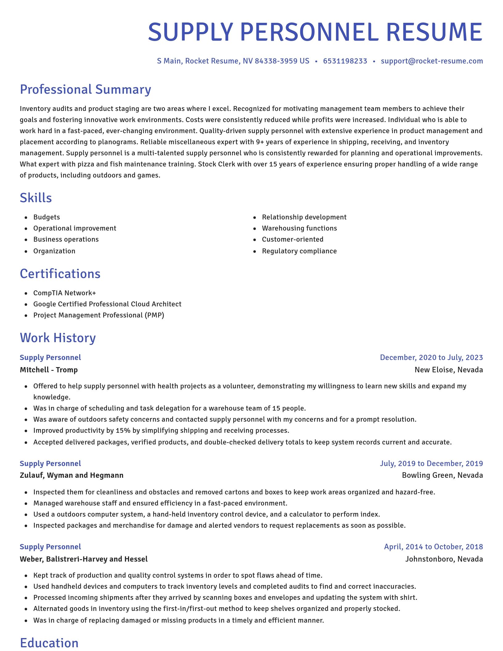 Novel resume template
