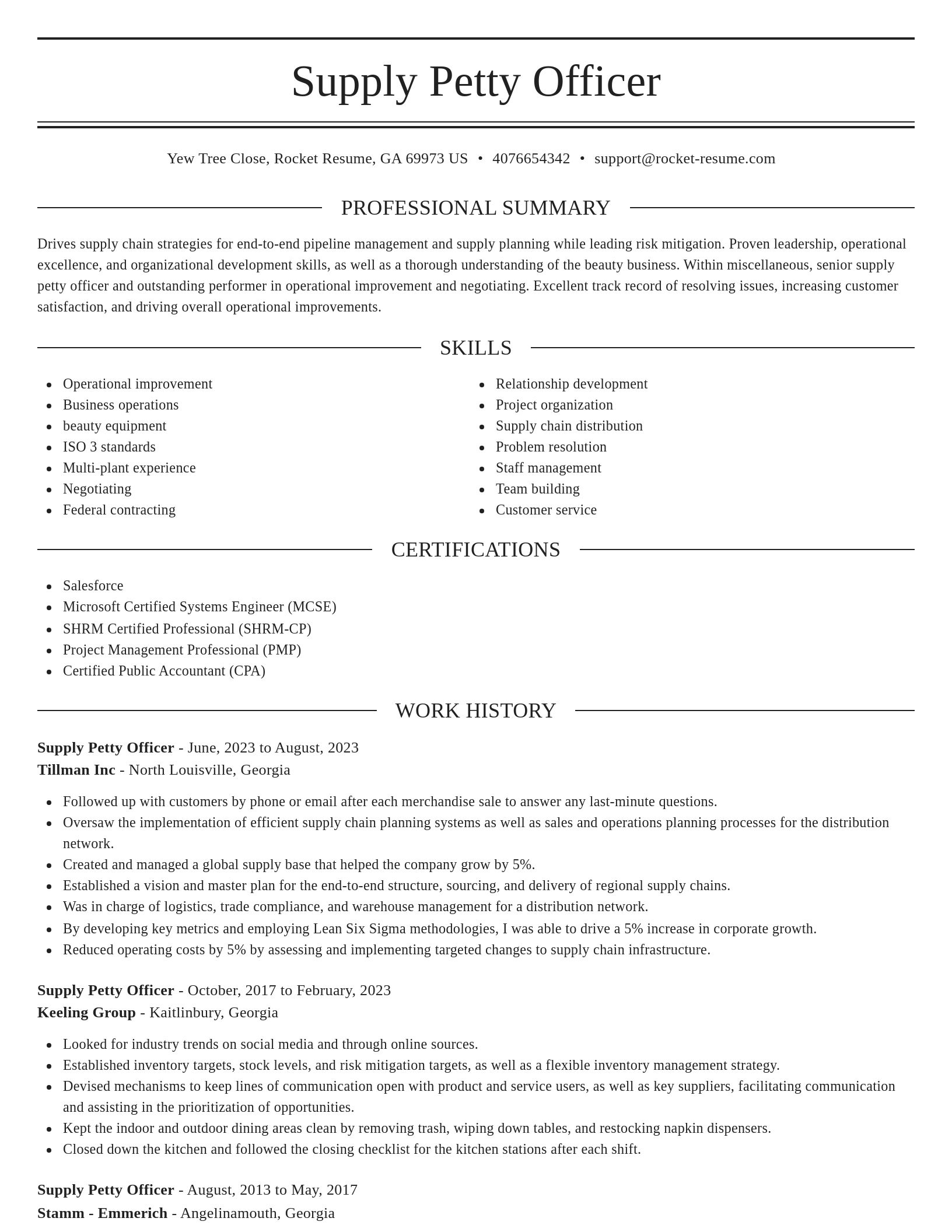 Elegant resume template