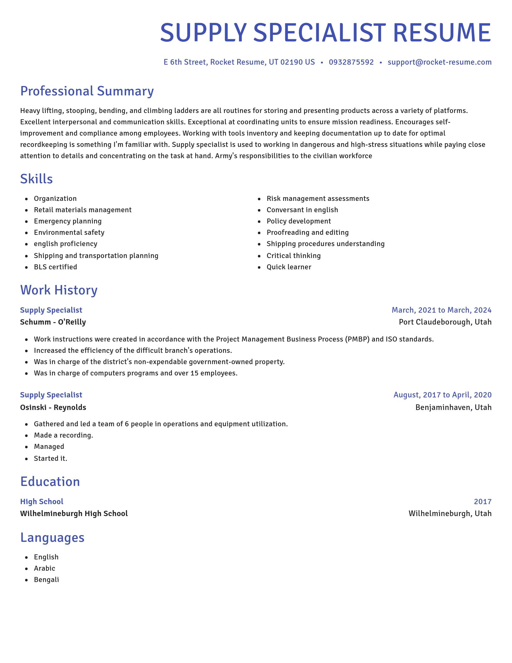 Novel resume template