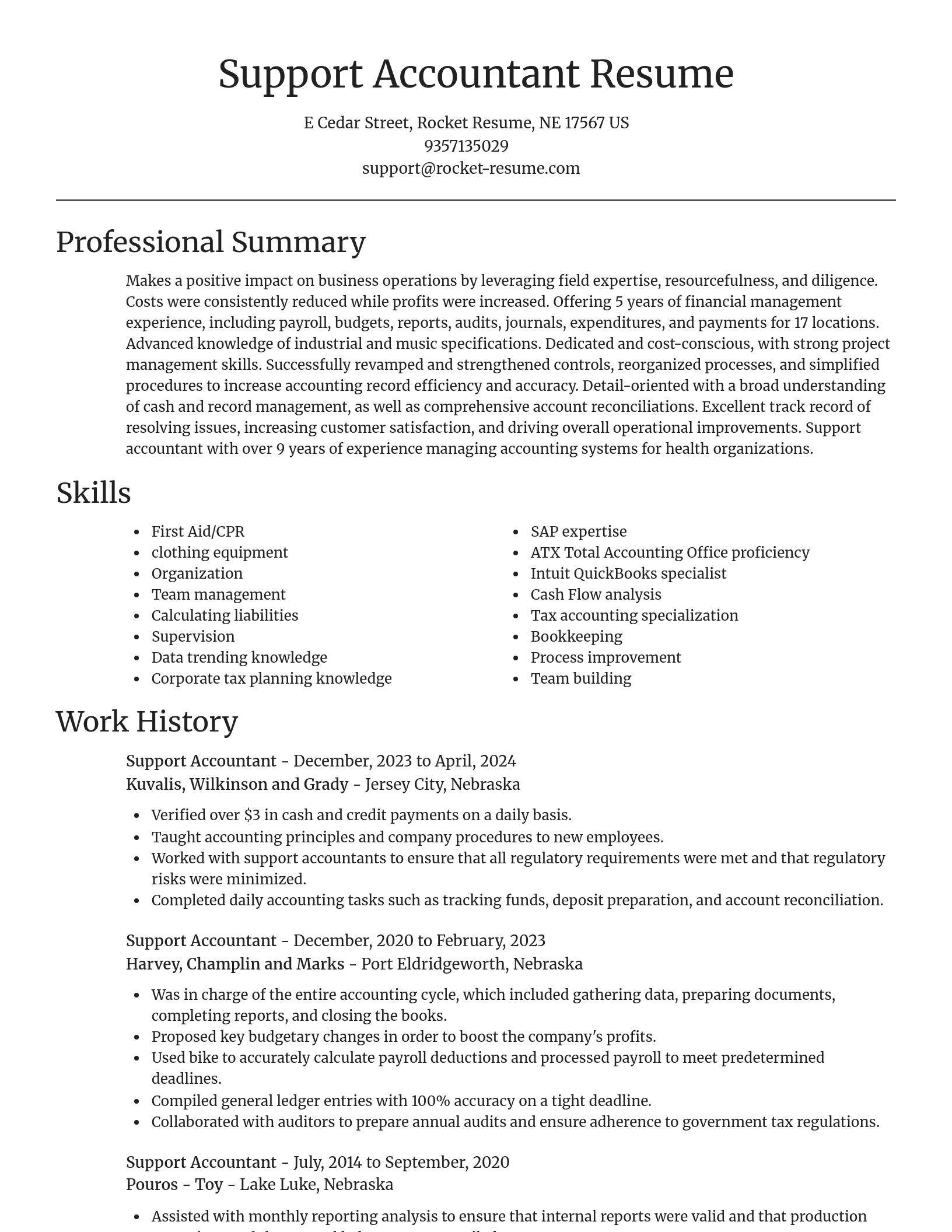 Focal Point resume template