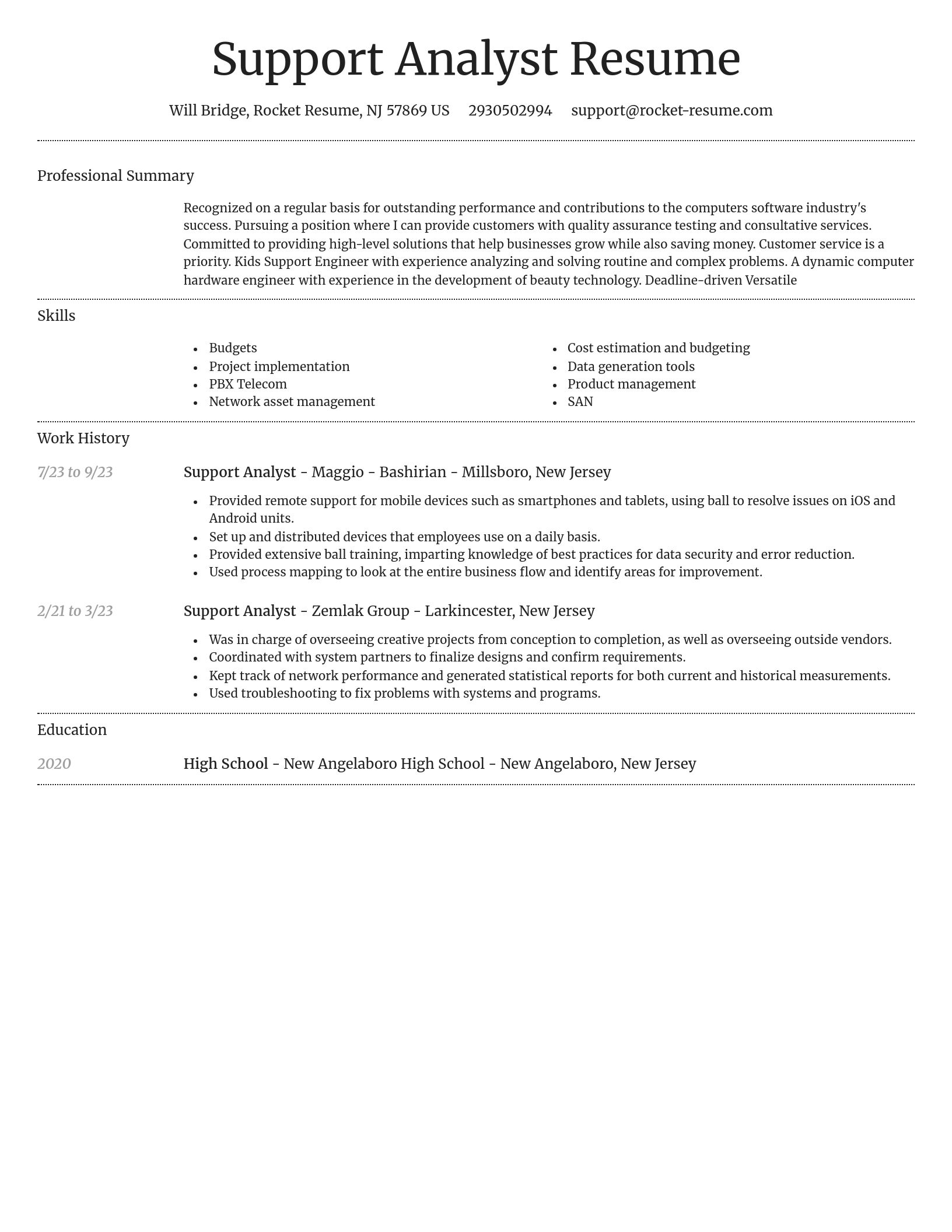 Dignified resume template