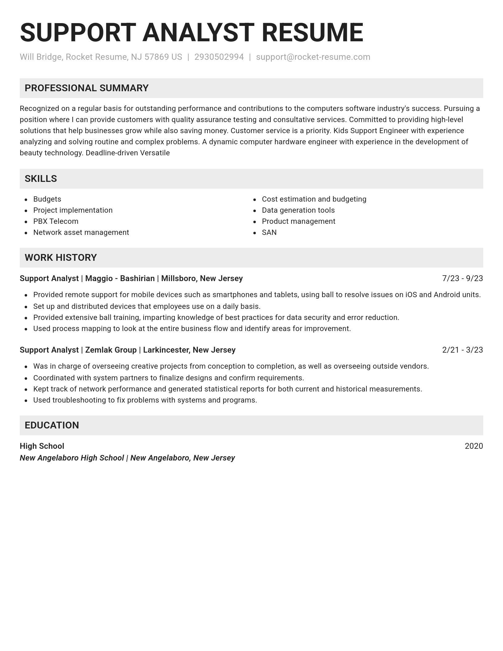 Genius resume template