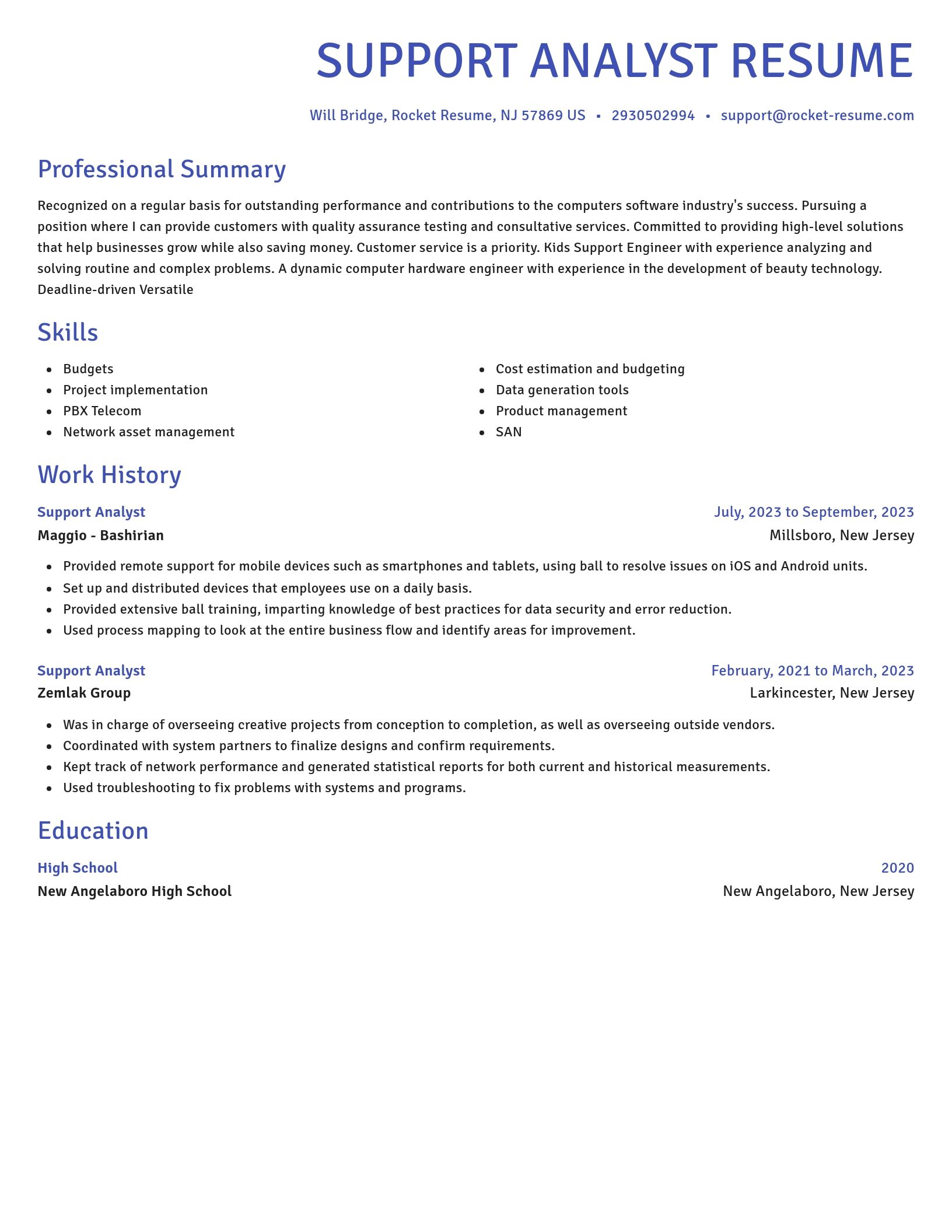 Novel resume template