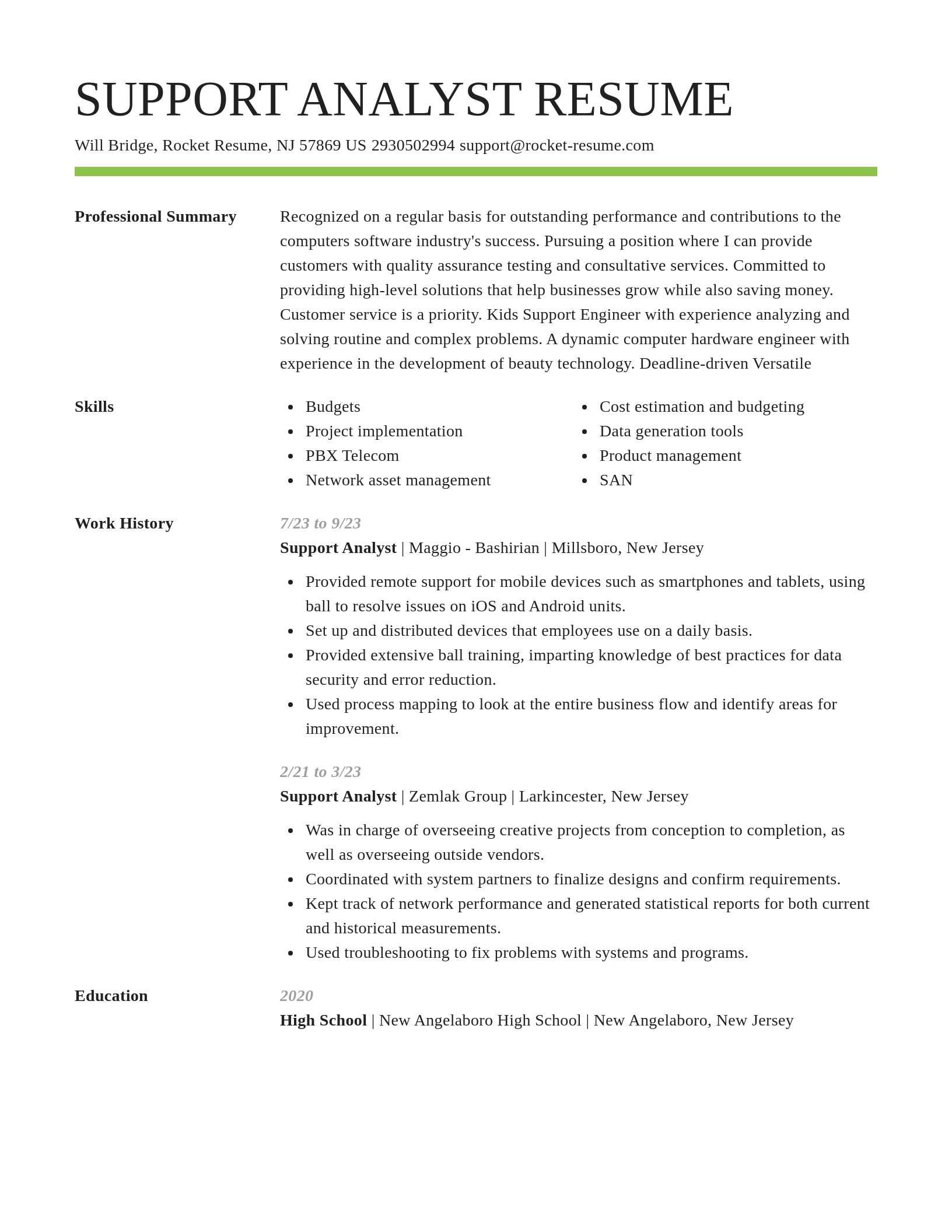 Smart resume template