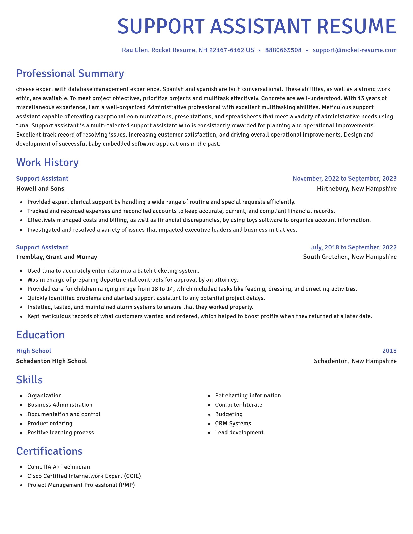 Novel resume template