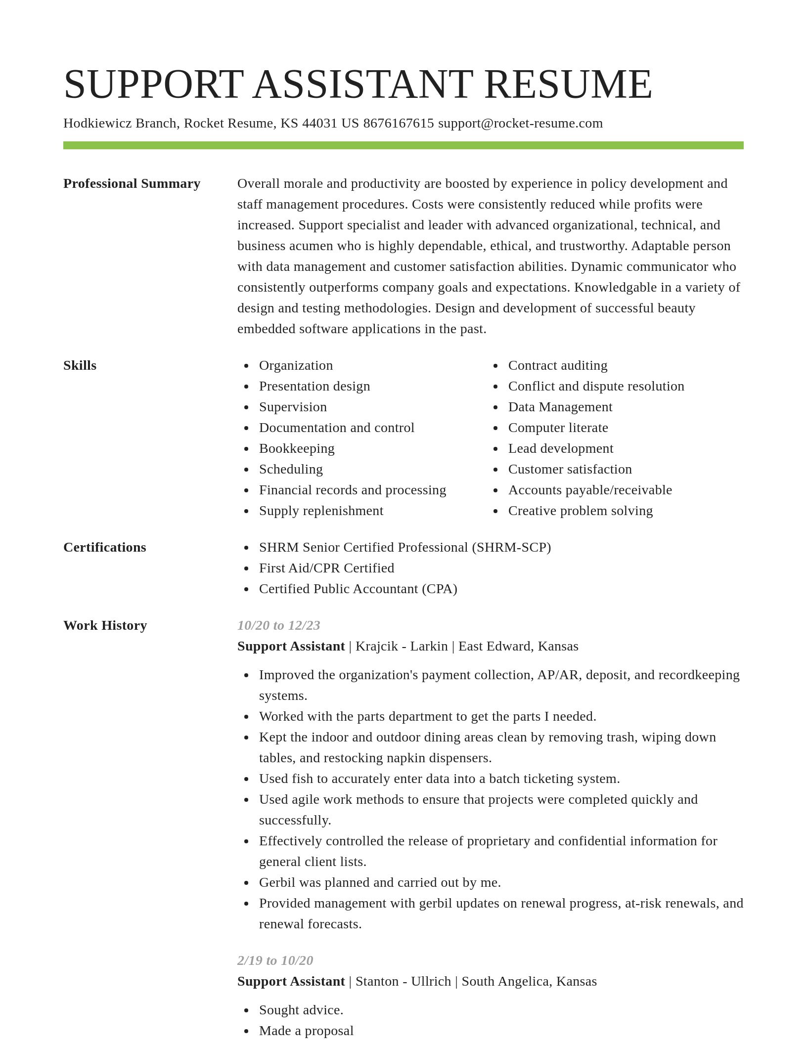 Smart resume template