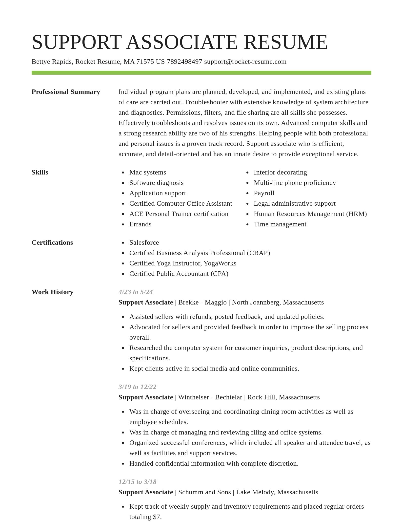 Smart resume template