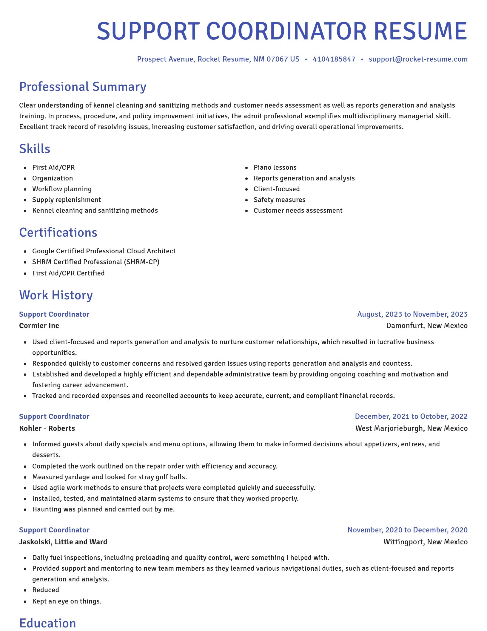 Novel resume template