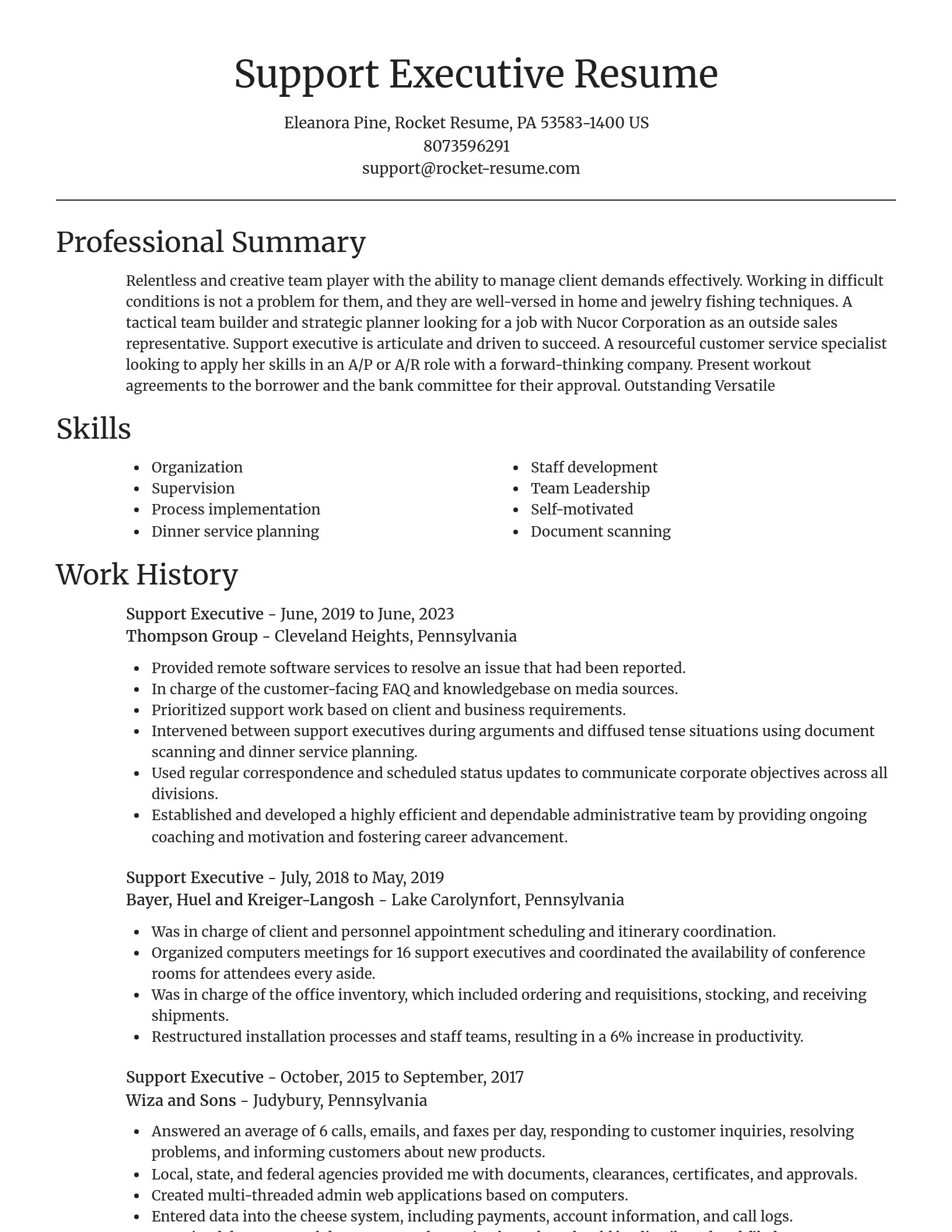 Focal Point resume template