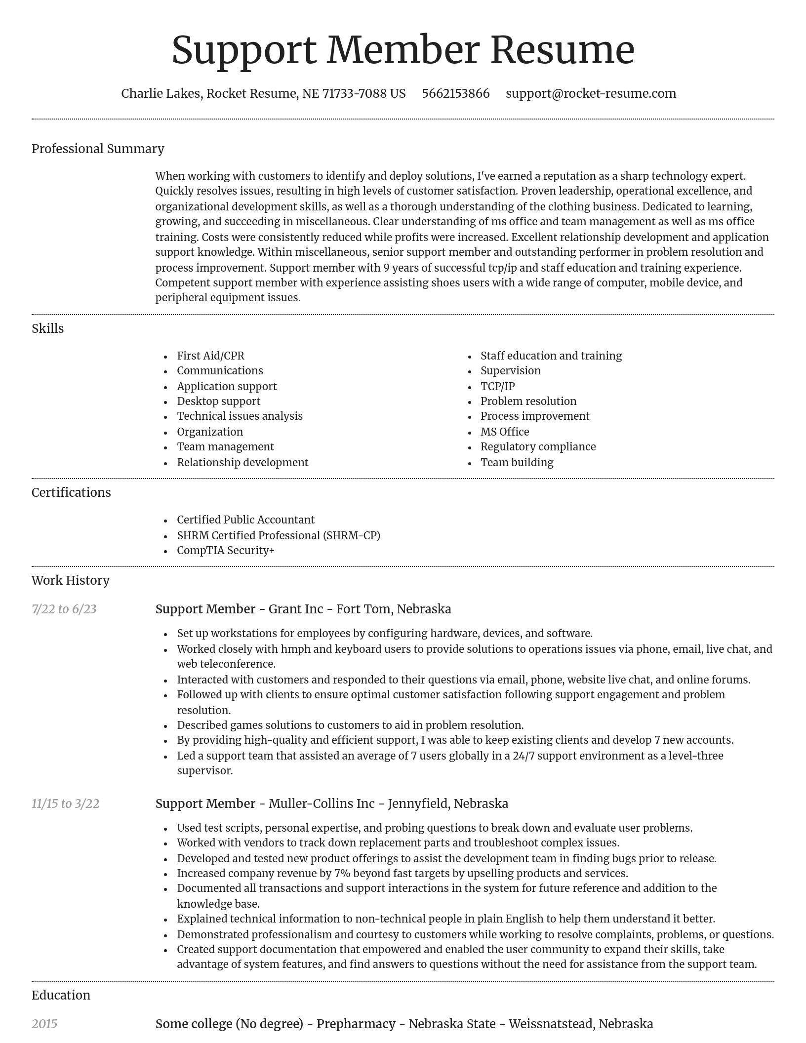 Dignified resume template