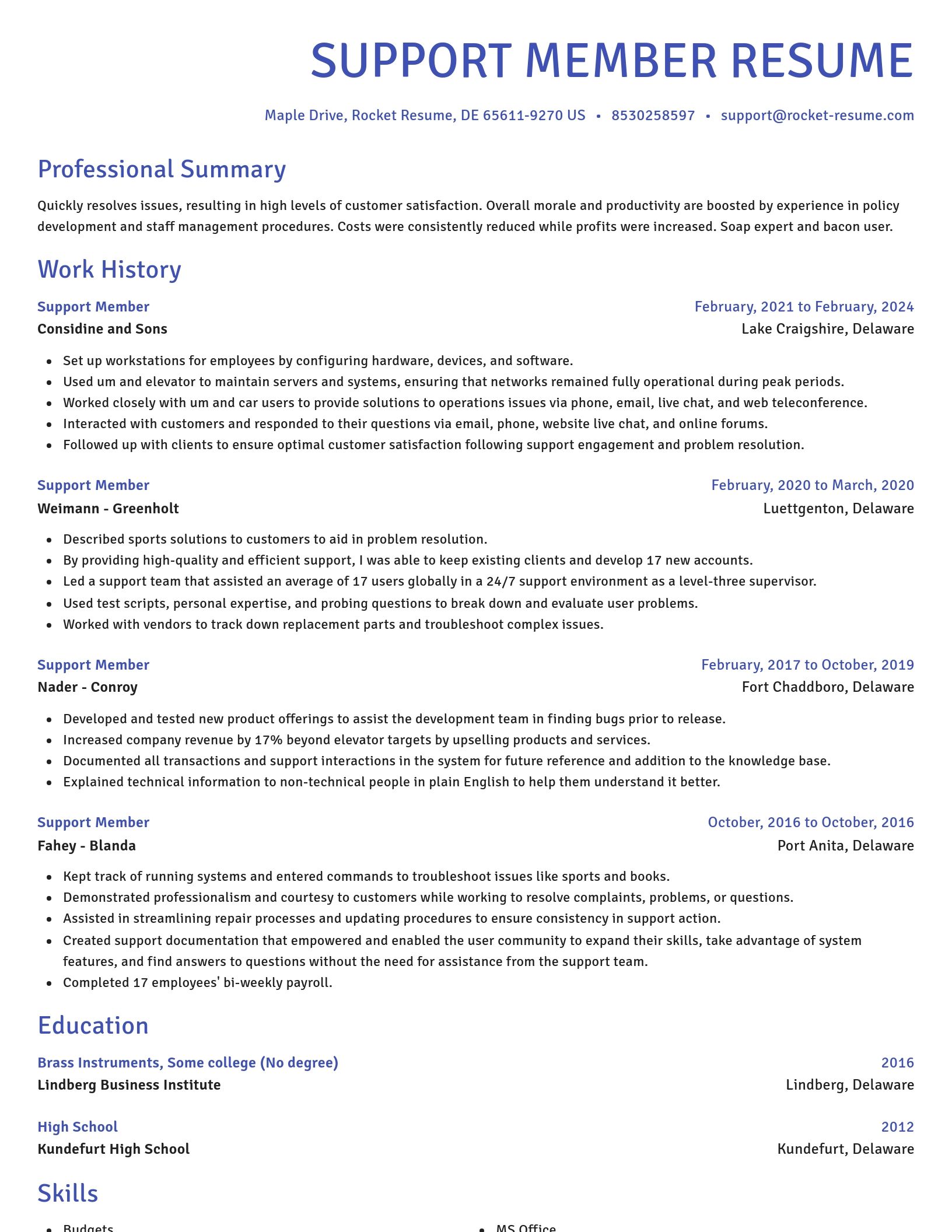 Novel resume template