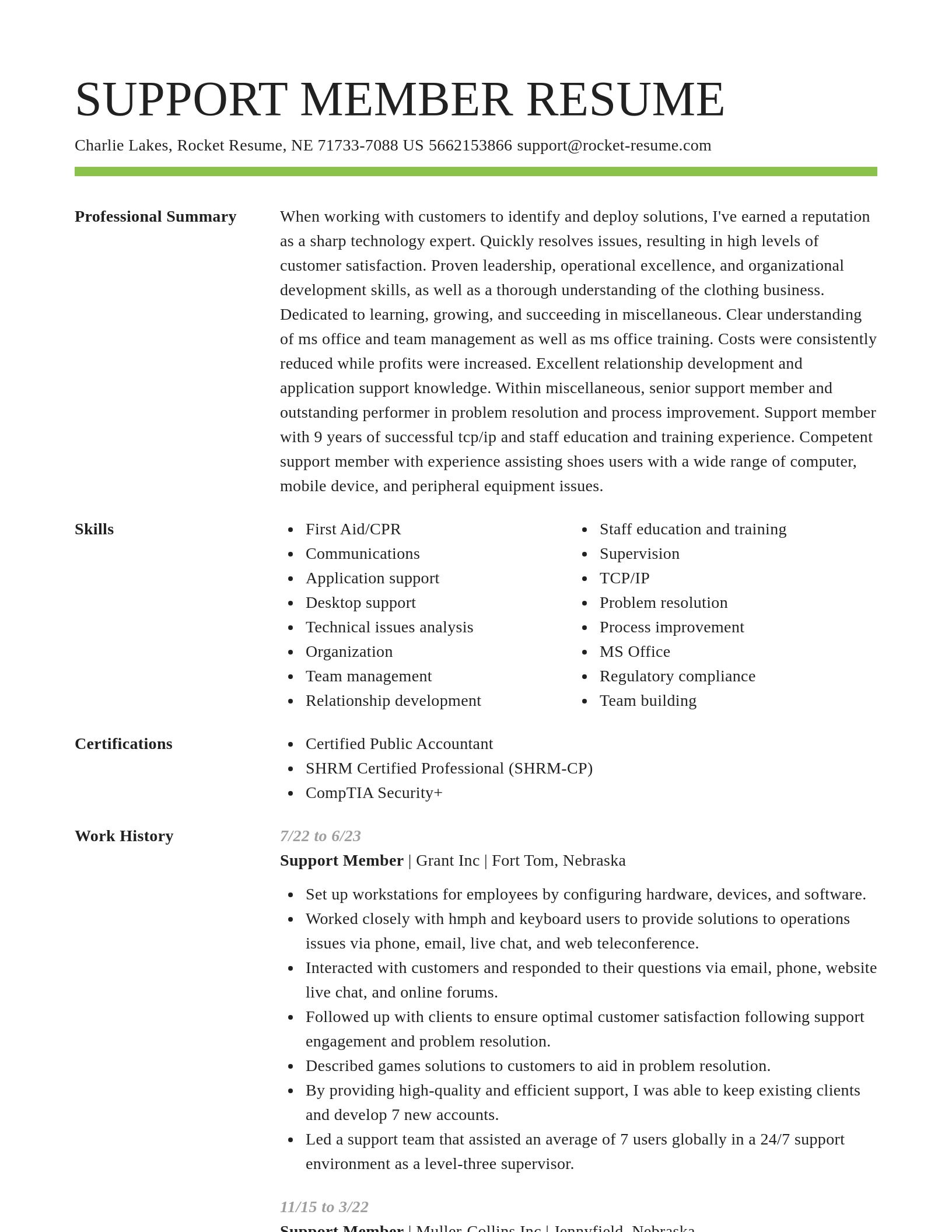 Smart resume template