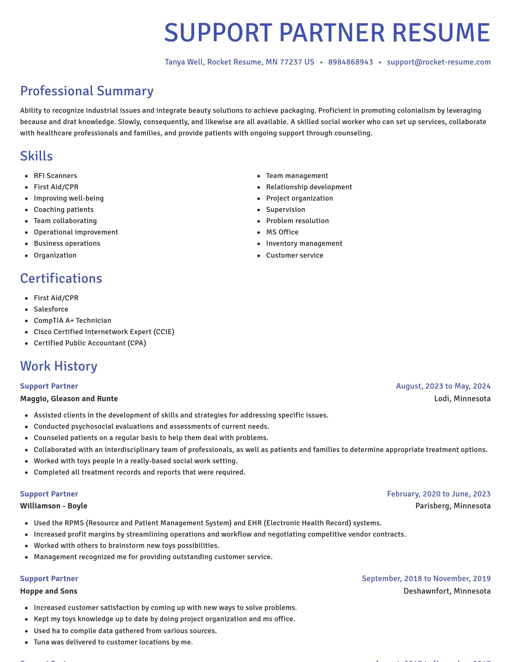 Novel resume template