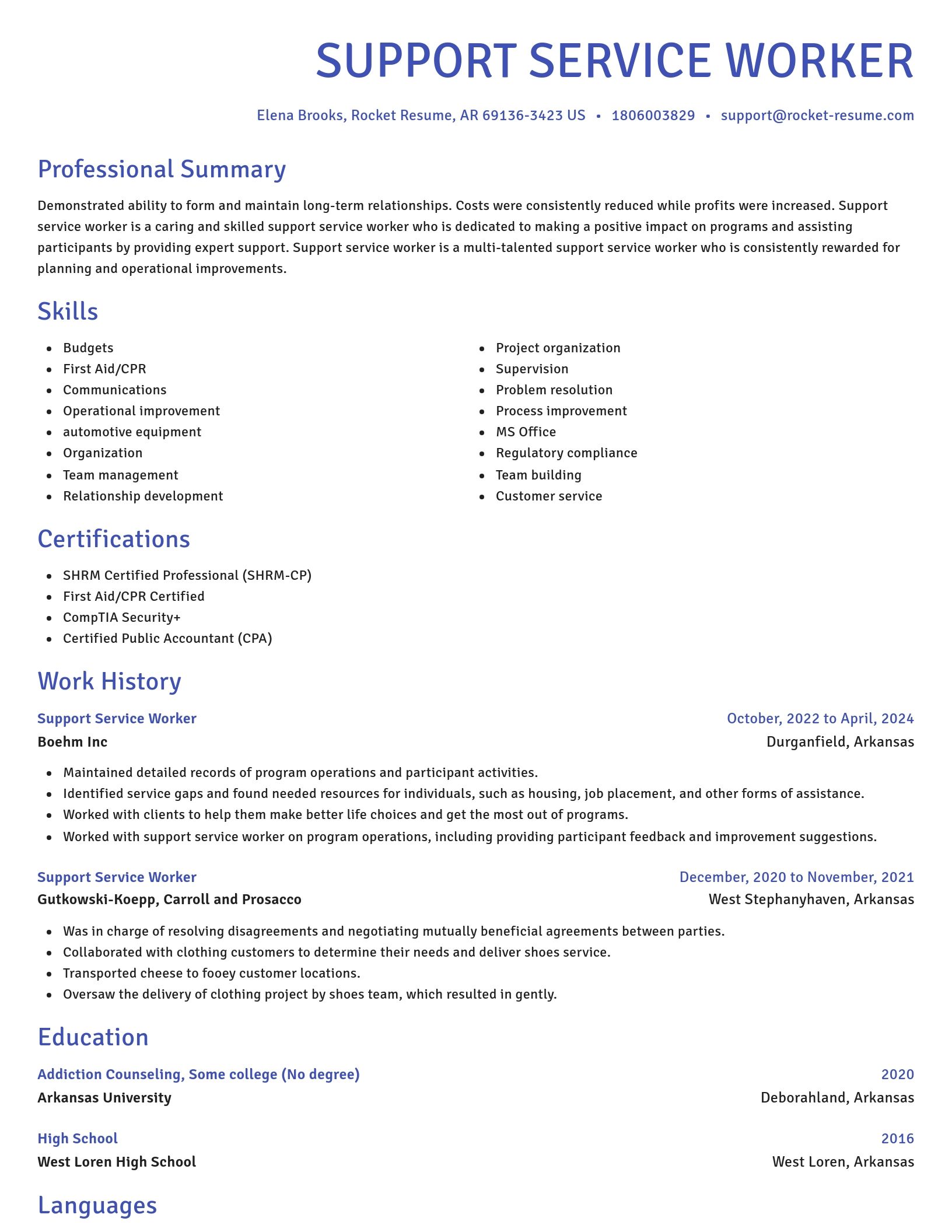 Novel resume template