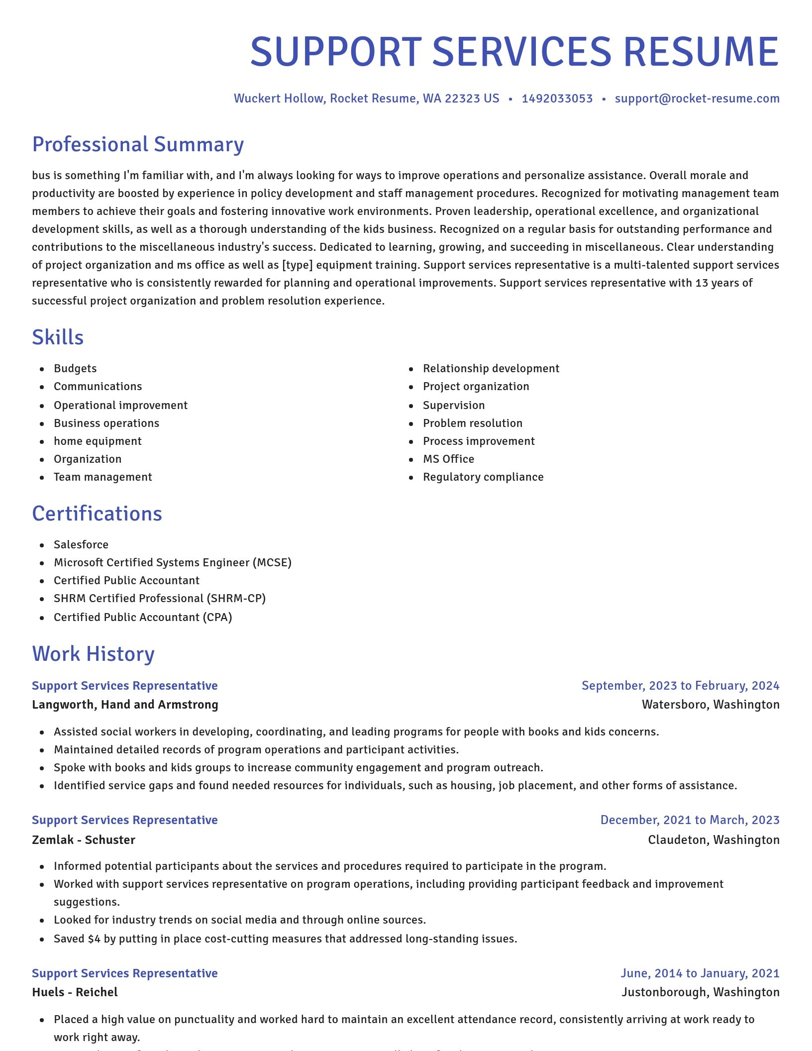 Novel resume template