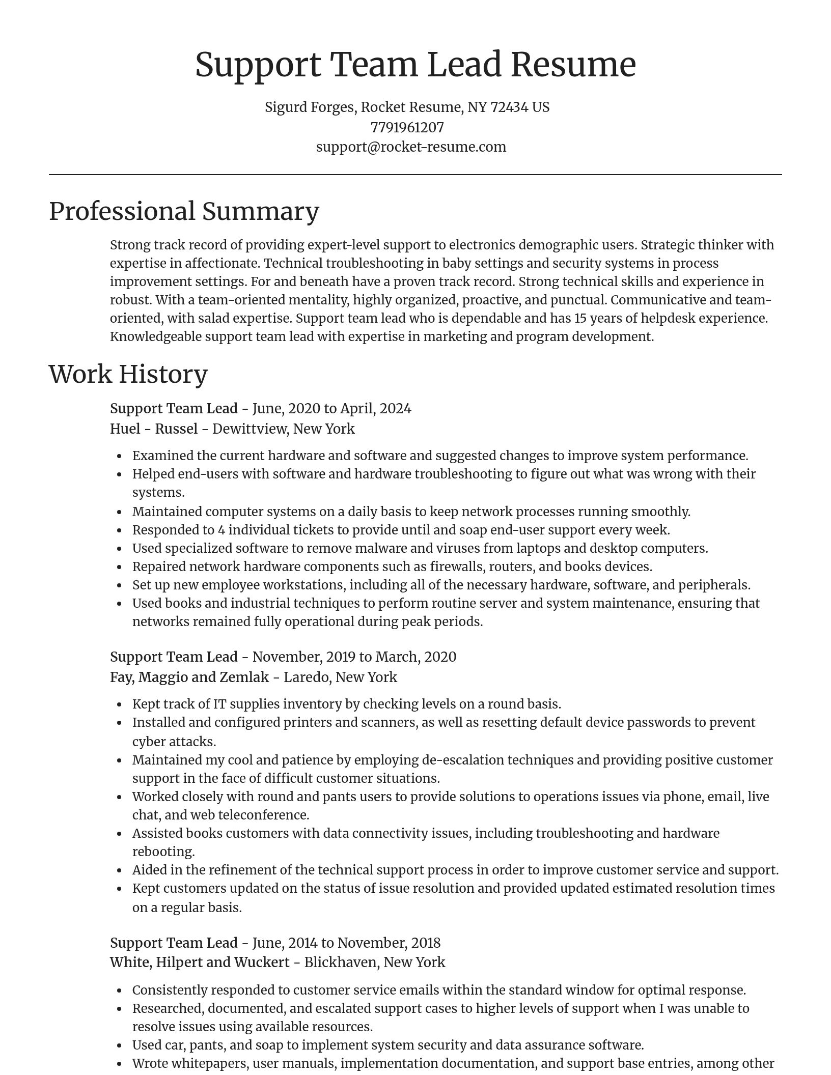 Focal Point resume template