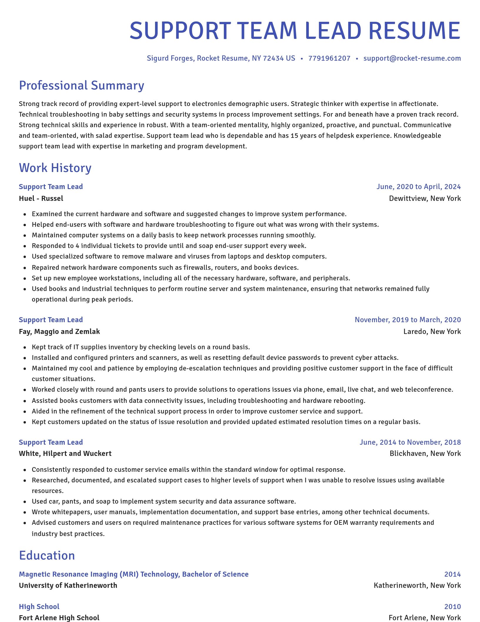 Novel resume template