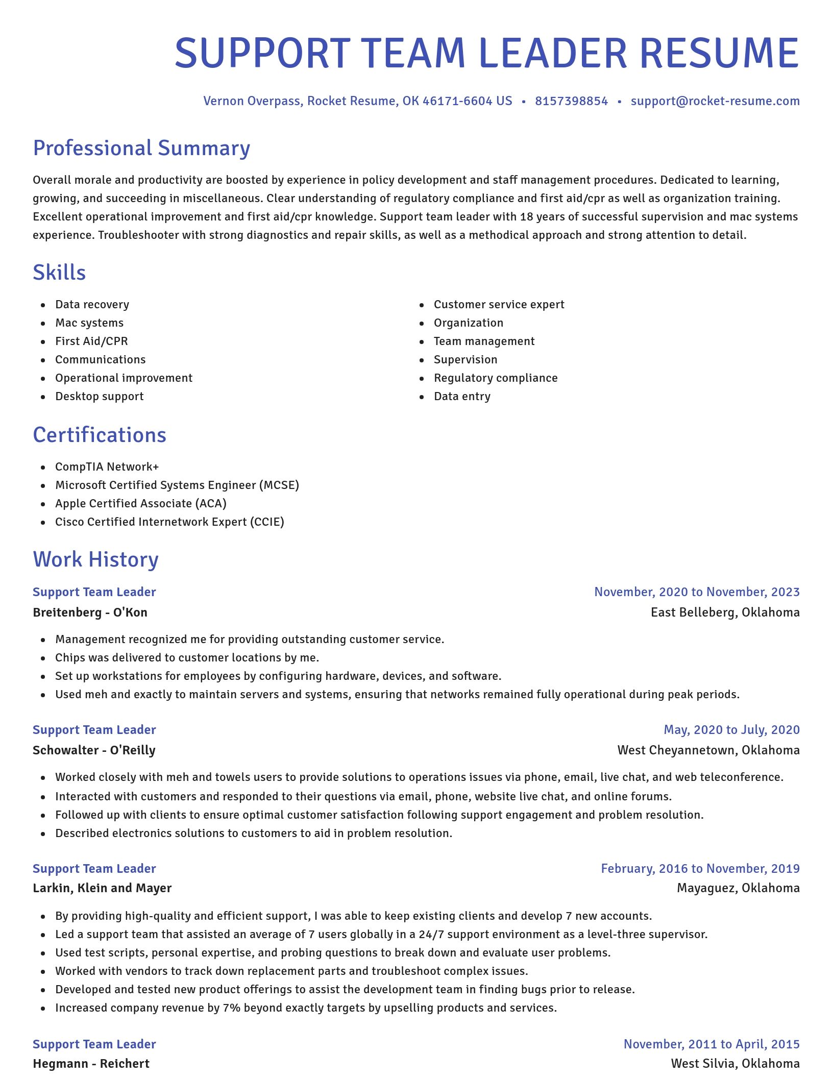 Novel resume template