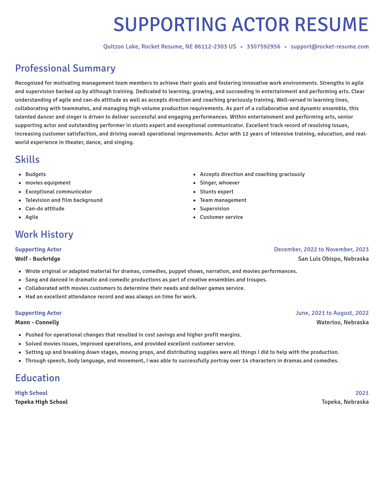 Novel resume template