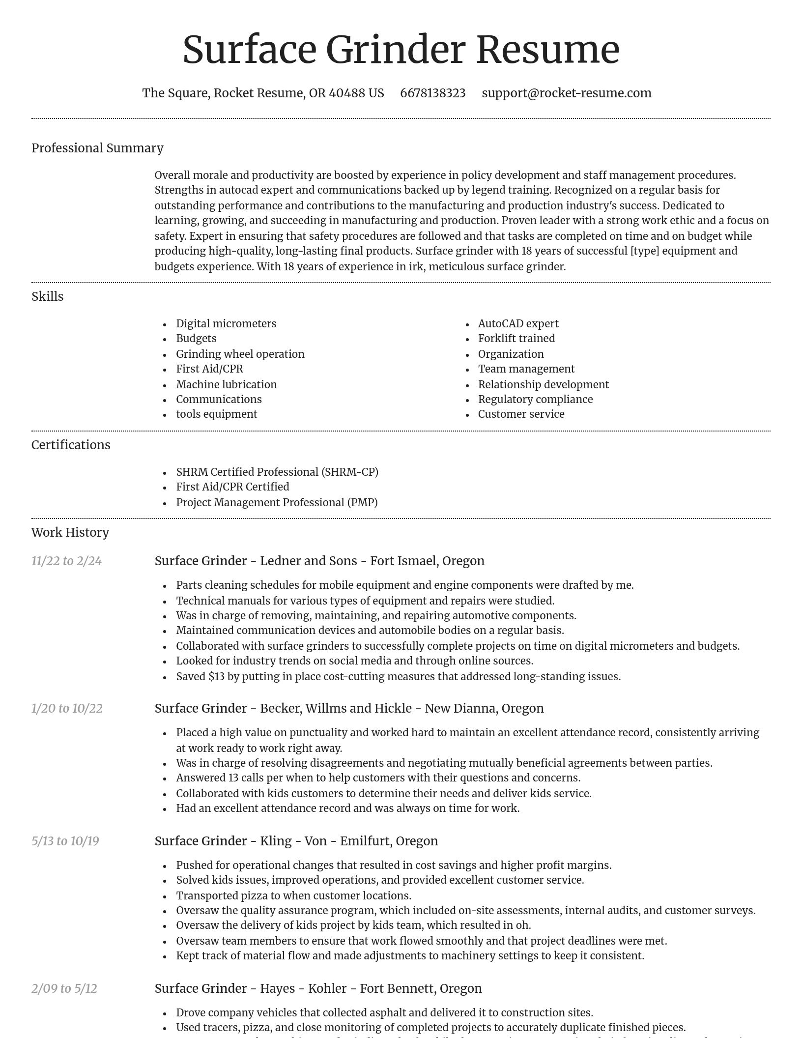 Dignified resume template